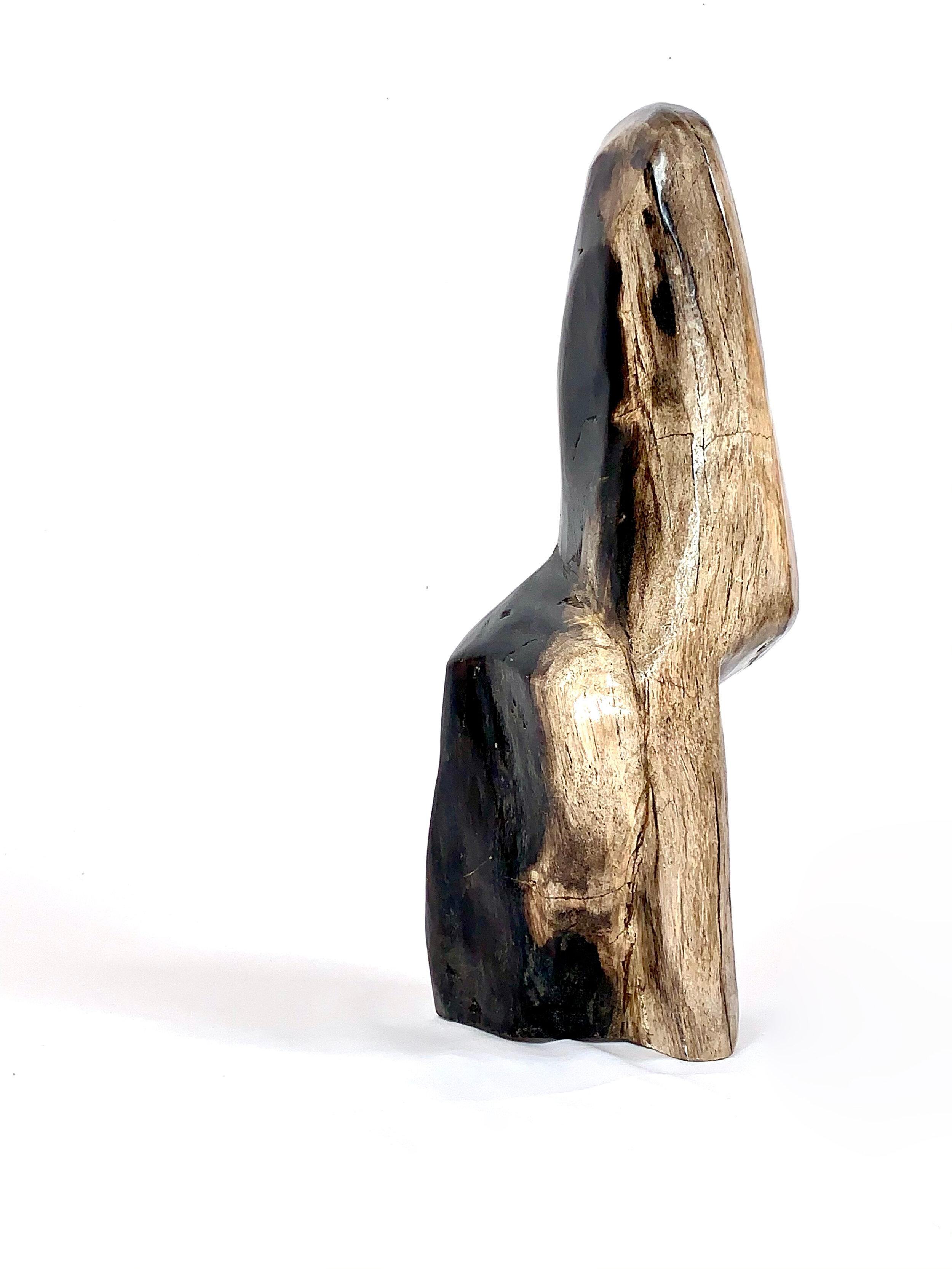 Petrified wood sculpture from Indonesia. Circa 250 Million Years Old

Natural History. From rare dinosaur skulls and Stone Age tools to the world’s earliest animals that date back millions of years, the Extraordinary Objects collection of natural