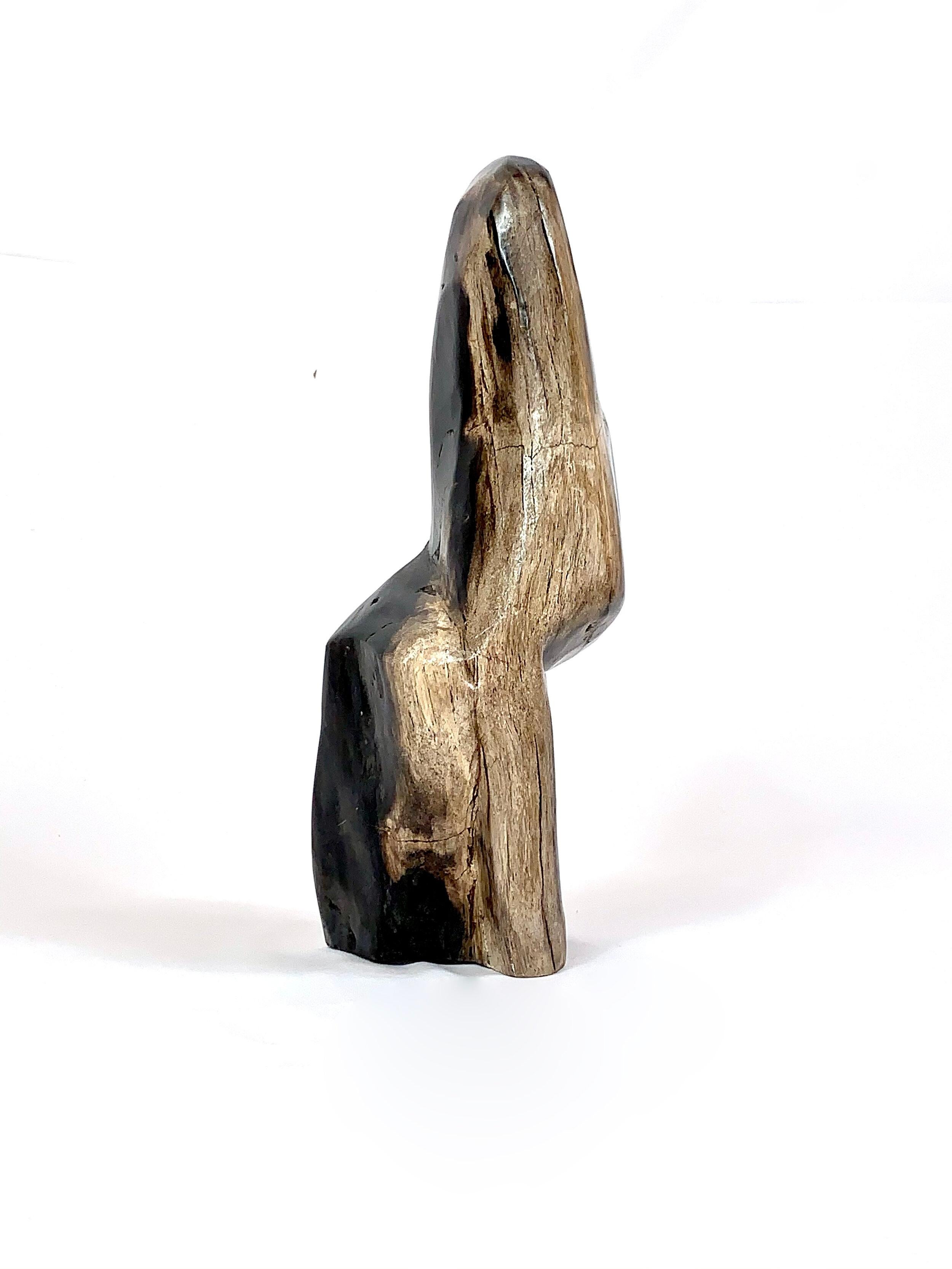 Indonesian Petrified Wood Sculpture