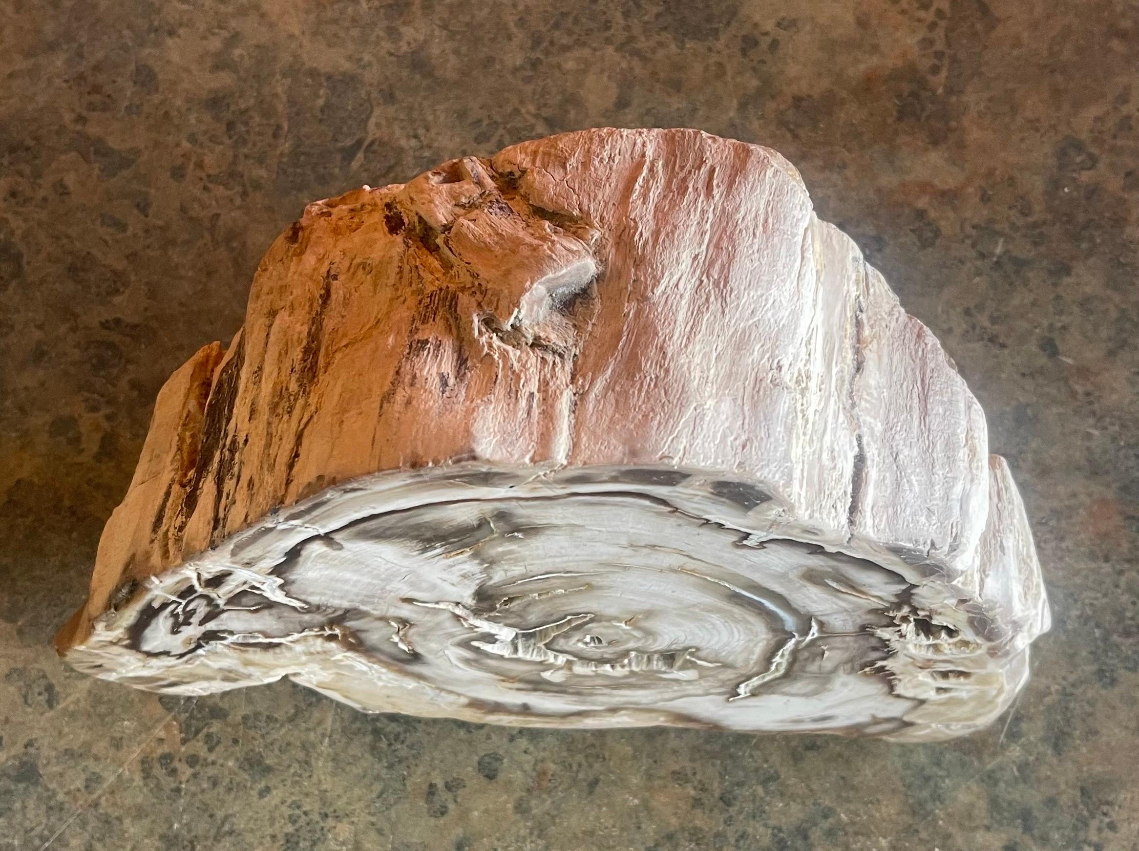 Unknown Petrified Wood Sculpture For Sale