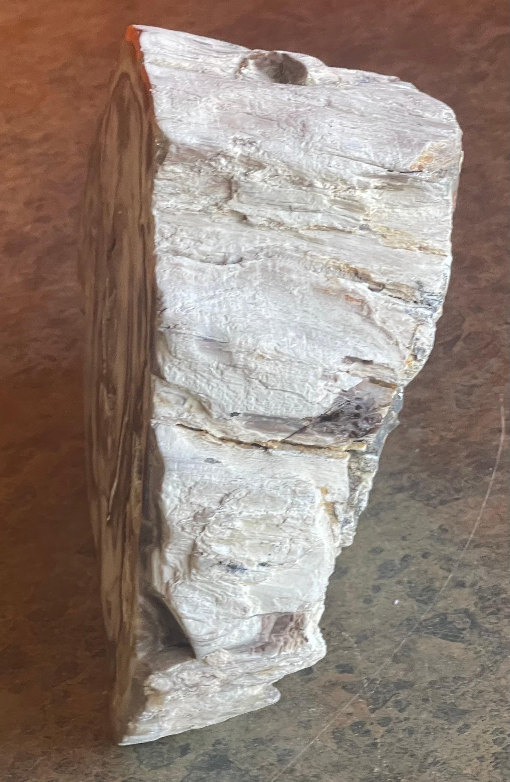 Petrified Wood Sculpture In Good Condition For Sale In San Diego, CA