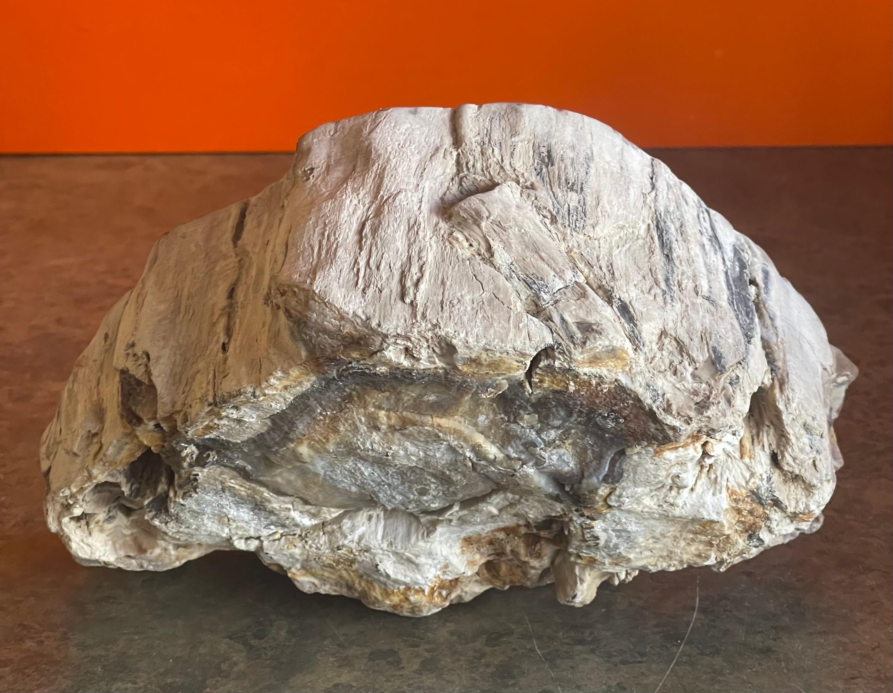 18th Century and Earlier Petrified Wood Sculpture For Sale