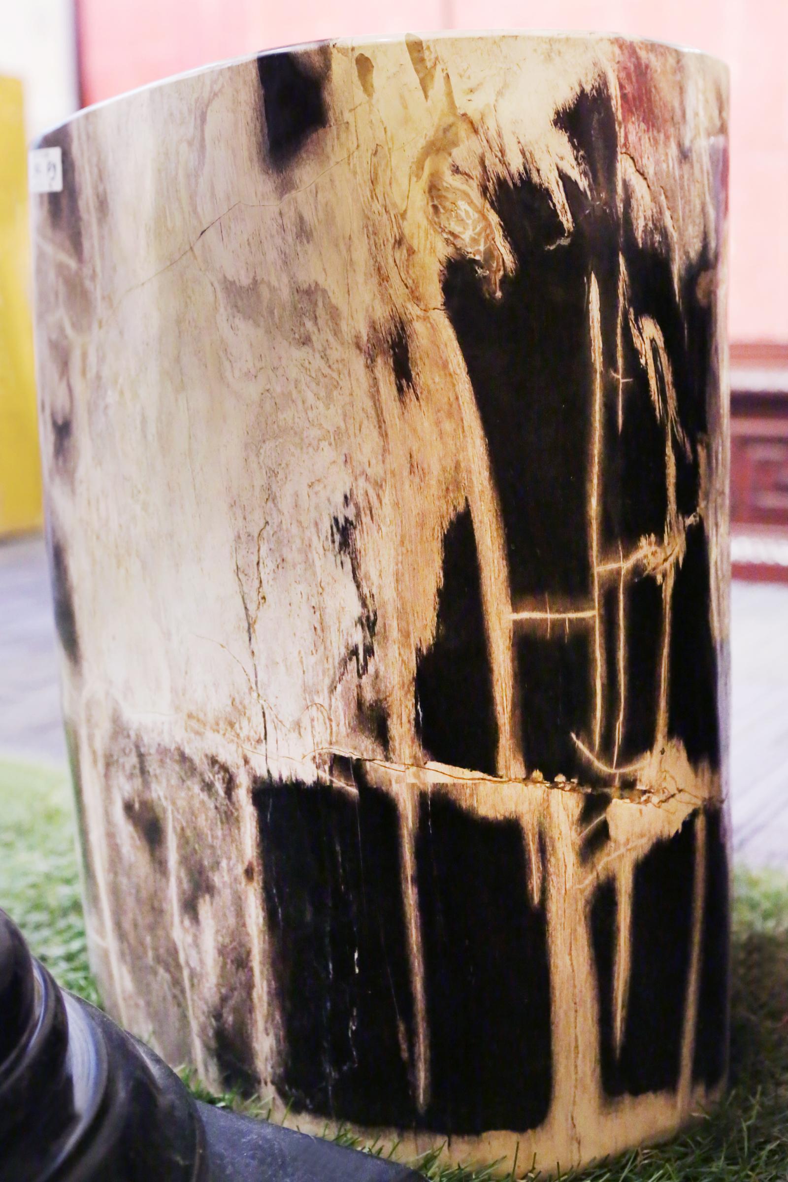 Petrified Wood Set of 2 n°A Side Table 7