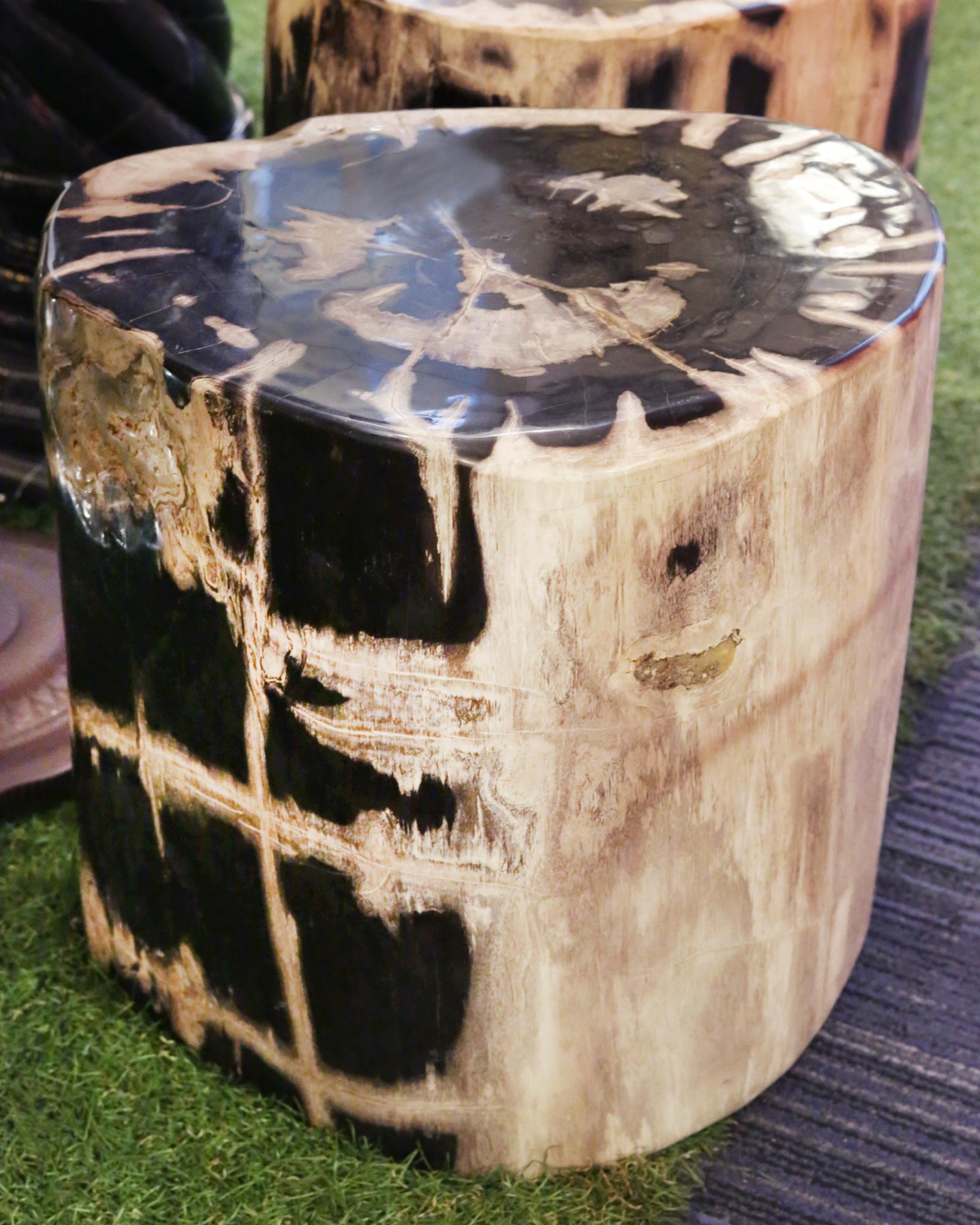 Side table petrified wood set of 2 n°A.
Set of two side table in solid petrified wood
from Indonesia. Petrified wood has turned
into stone. Trees have been buried for many 
years under sediment they transitioned into 
stone. Each piece is