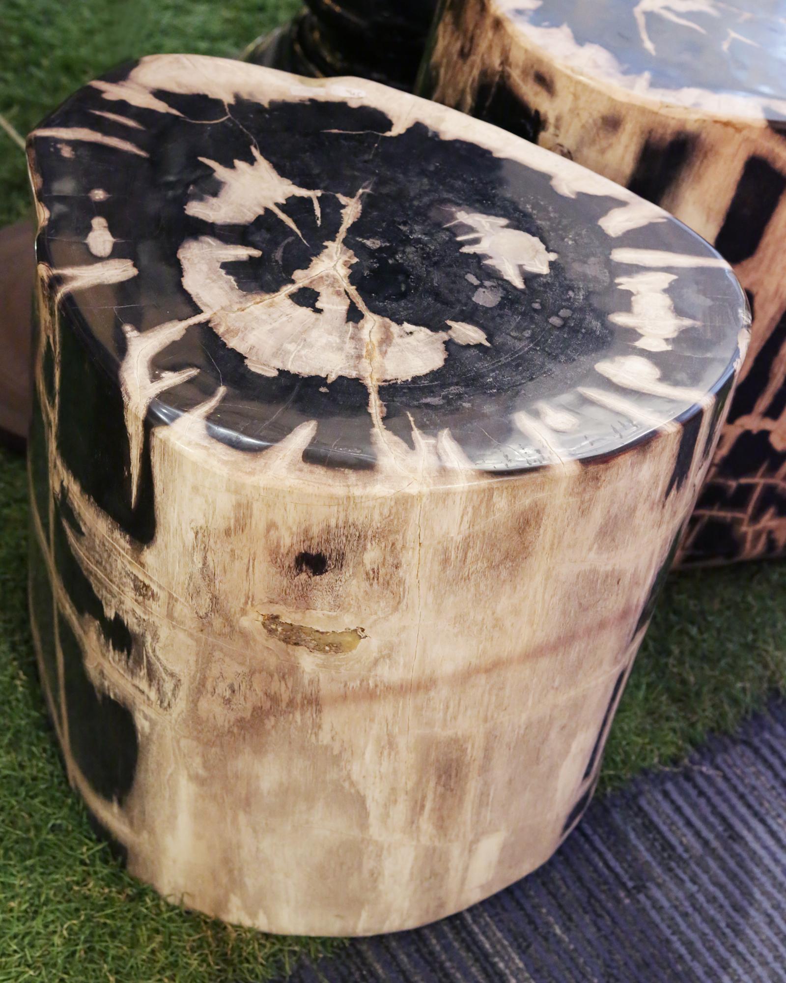 Indonesian Petrified Wood Set of 2 n°A Side Table