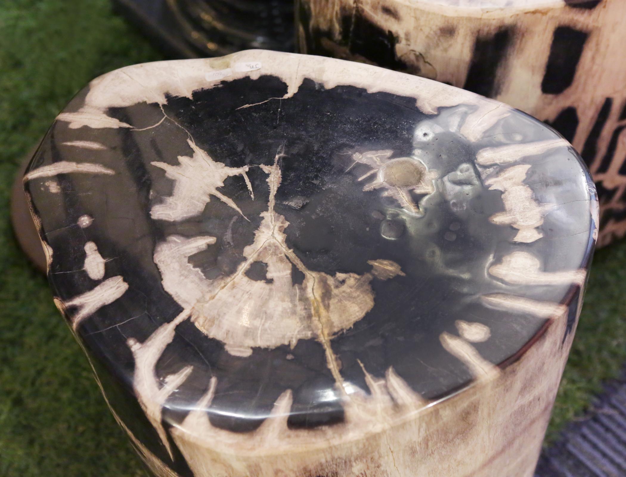 Petrified Wood Set of 2 n°A Side Table 3