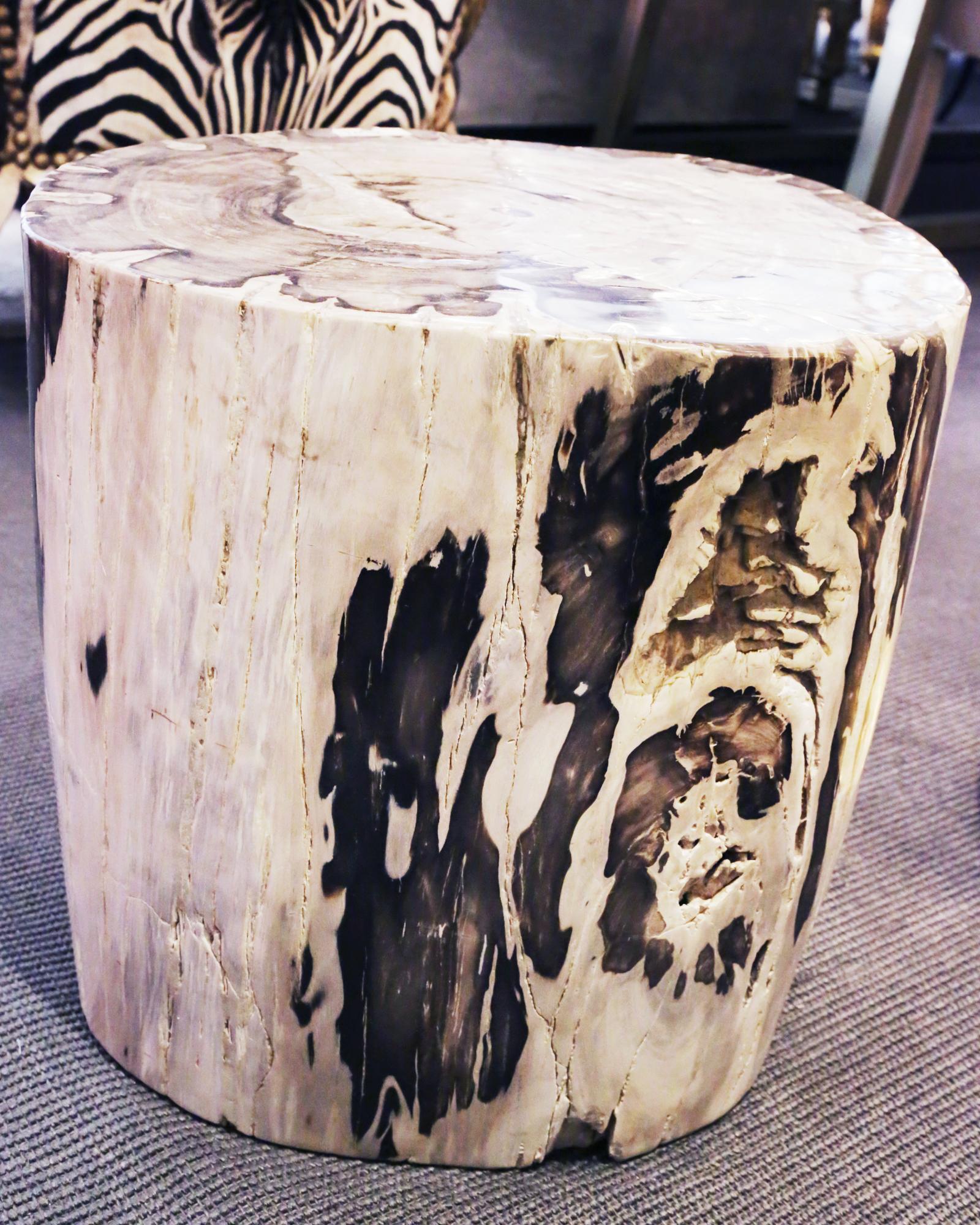 Petrified Wood Set of 2 n°B Side Table 5