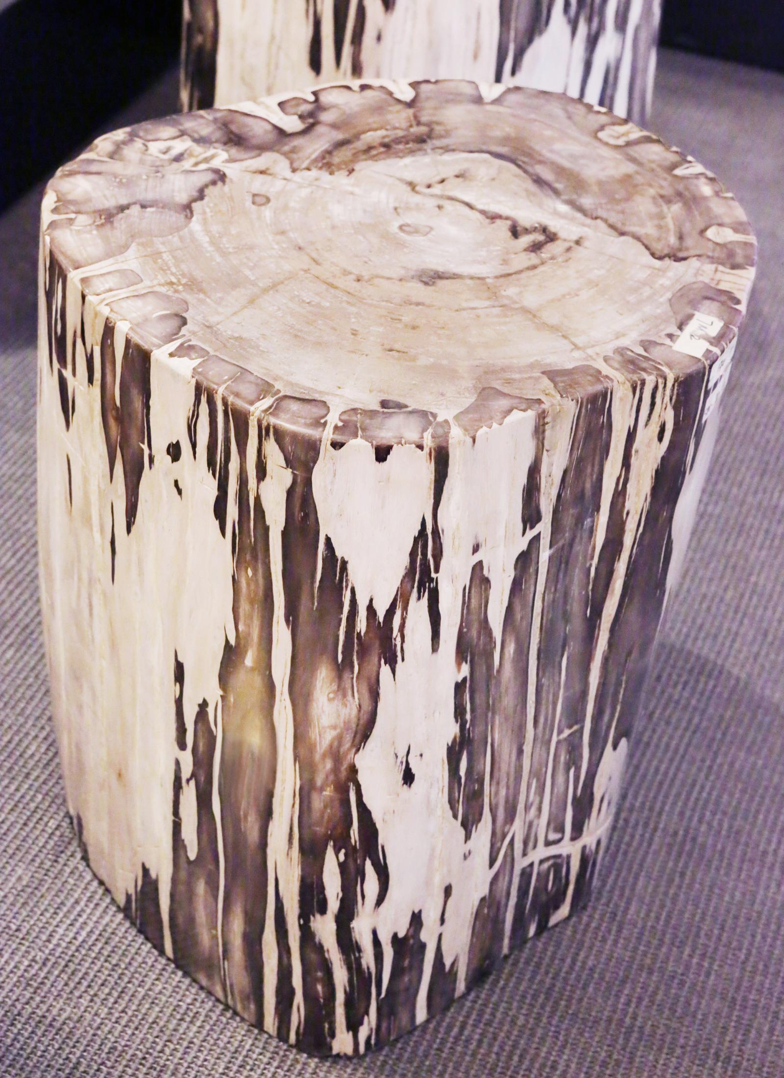 Side table petrified wood set of 2 n°B.
Set of two side table in solid petrified wood
from Indonesia. Petrified wood has turned
into stone. Trees have been buried for many 
years under sediment they transitioned into 
stone. Each piece is