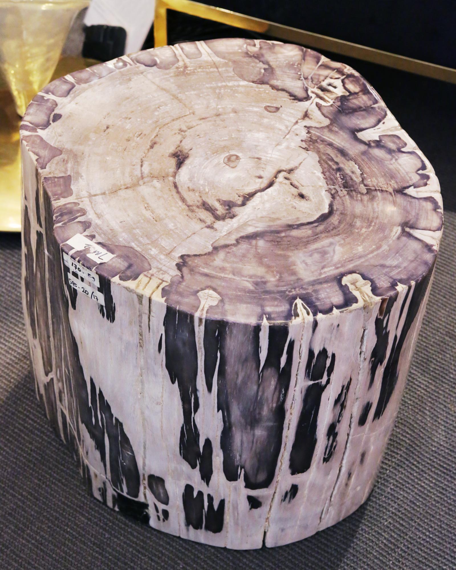 Indonesian Petrified Wood Set of 2 n°B Side Table