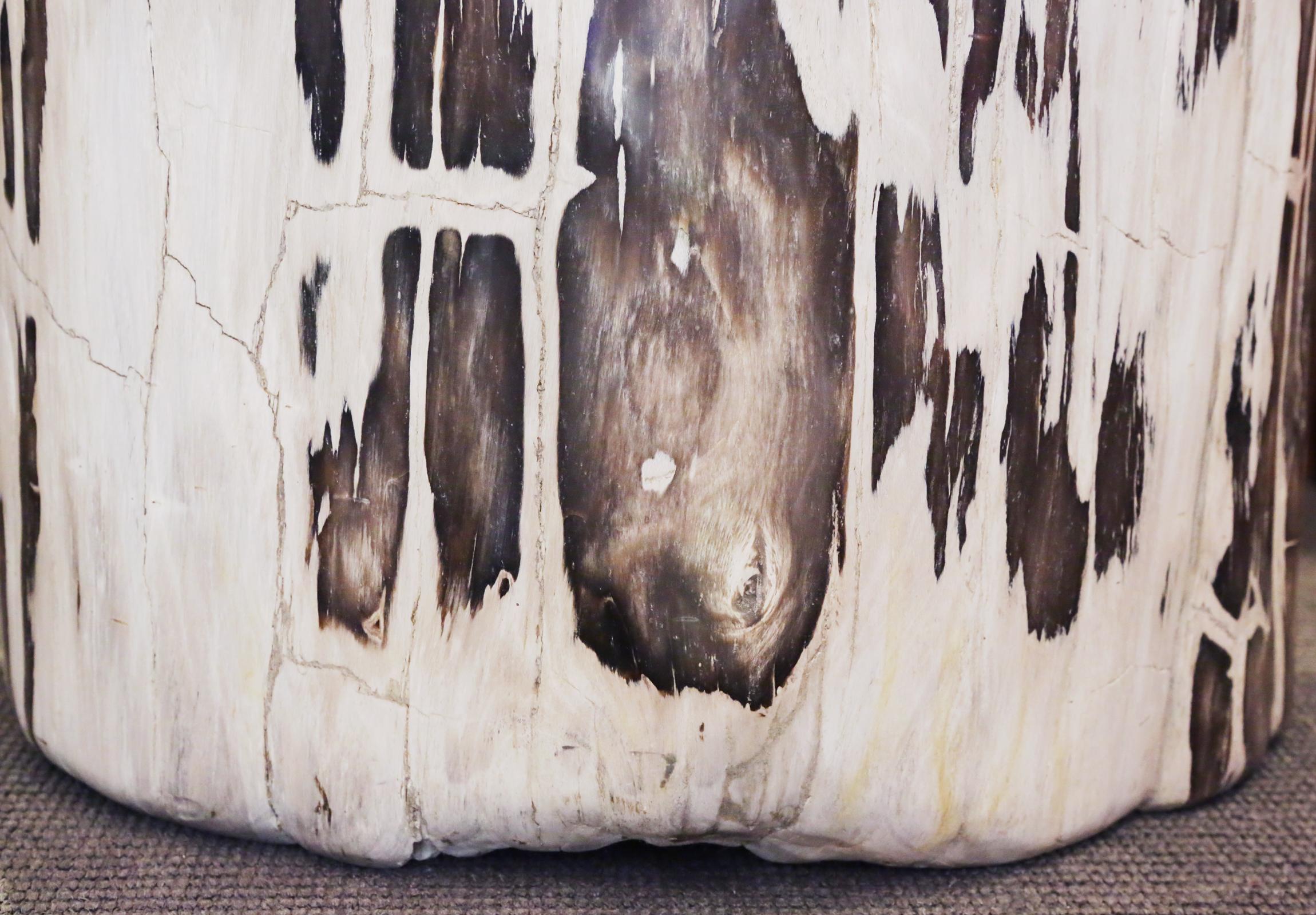 Contemporary Petrified Wood Set of 2 n°B Side Table