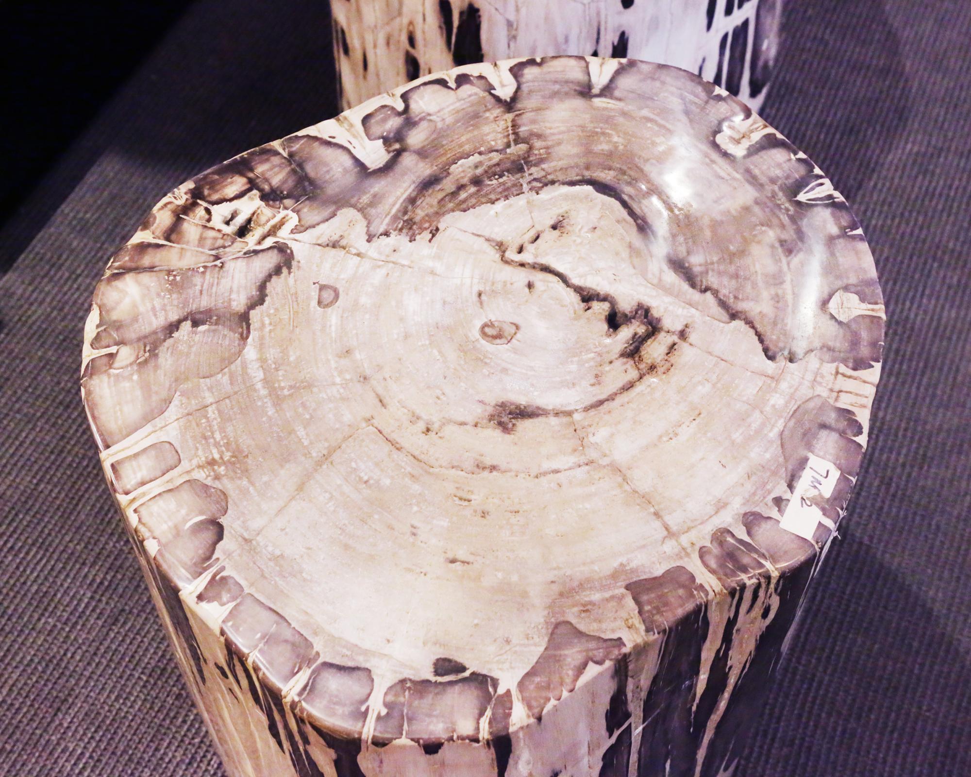 Petrified Wood Set of 2 n°B Side Table 1