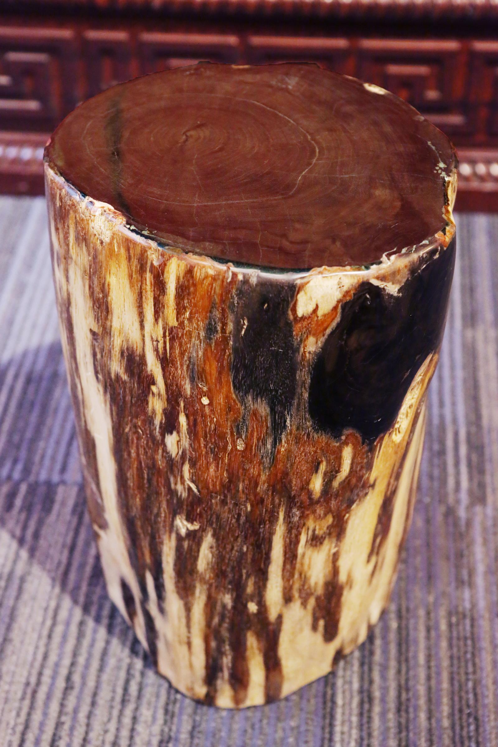 Petrified Wood Set of Two n°D Side Table 4