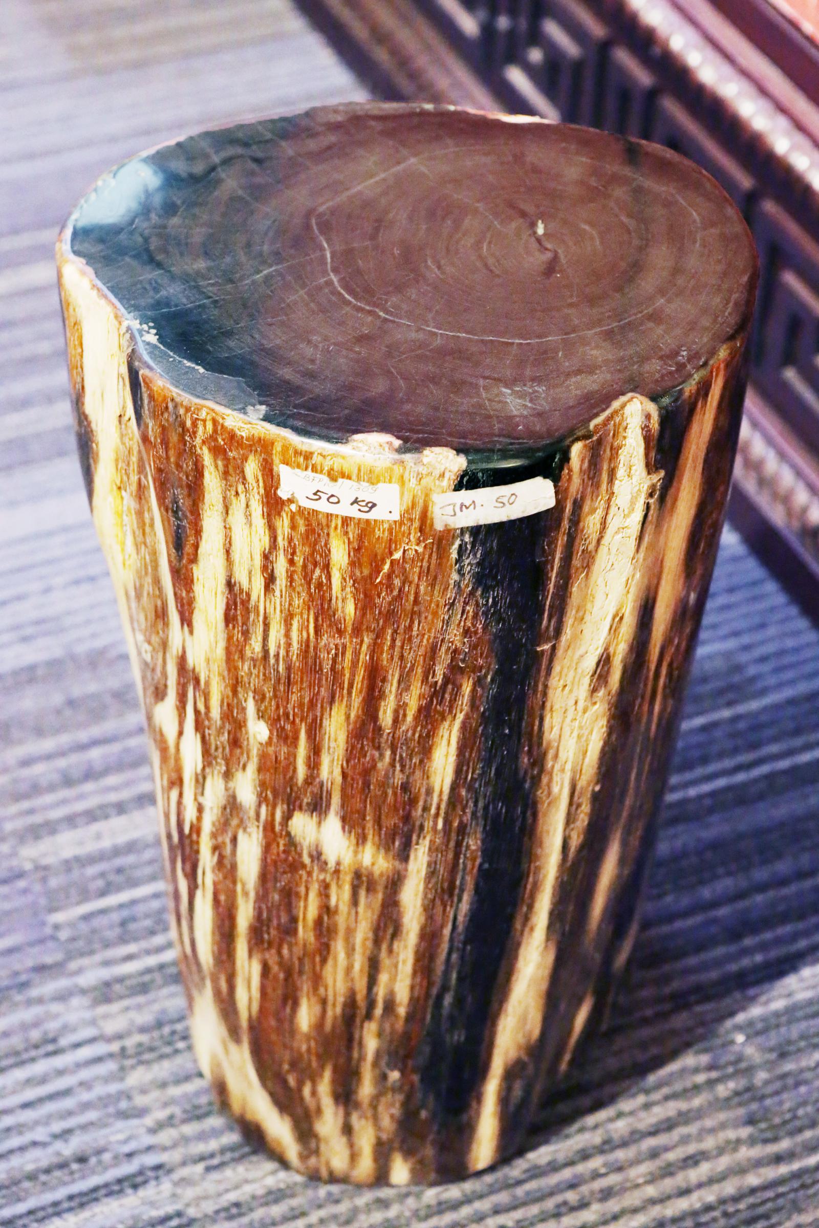Petrified Wood Set of Two n°D Side Table 7
