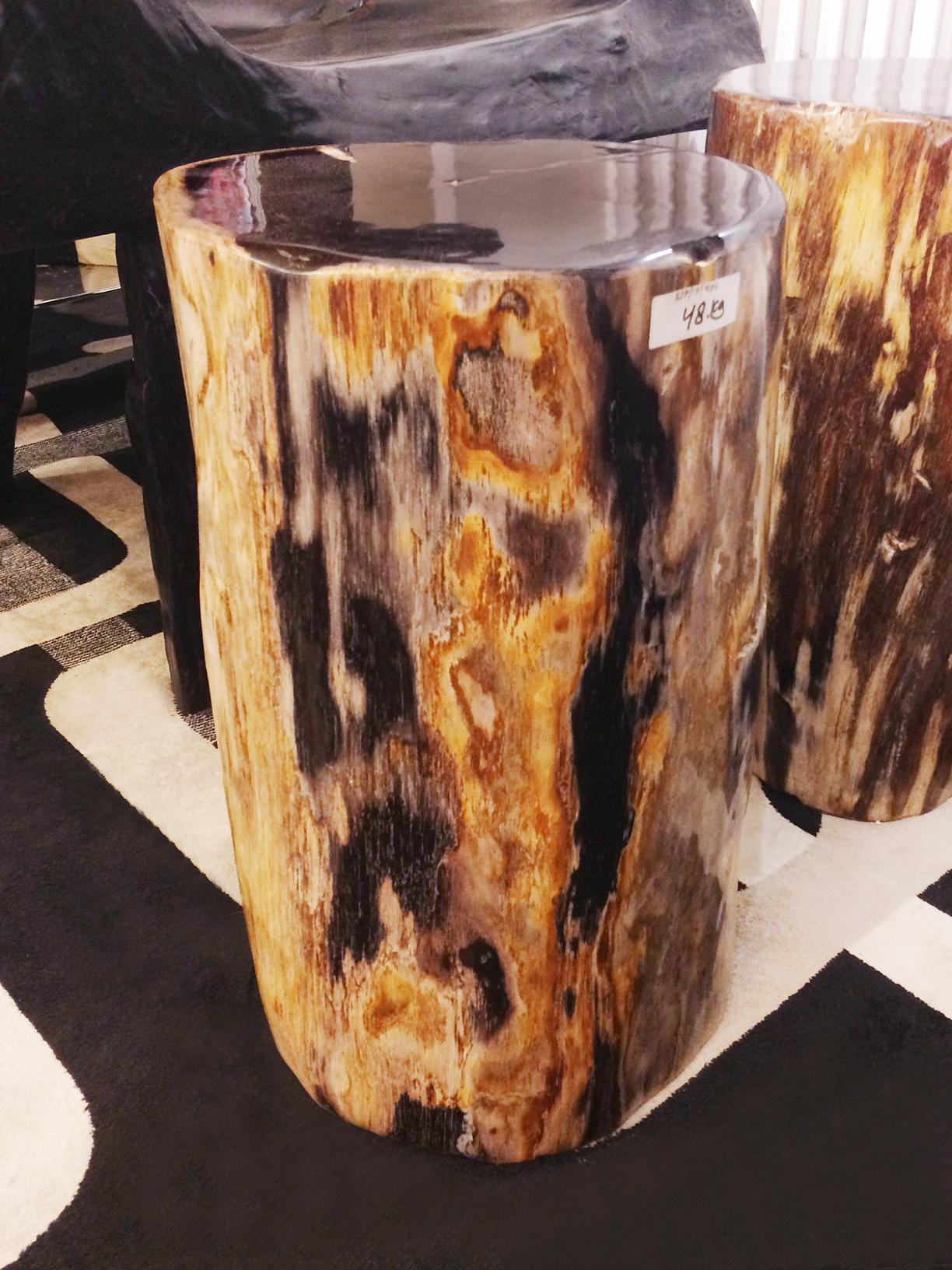 Indonesian Petrified Wood Set of Two n°D Side Table