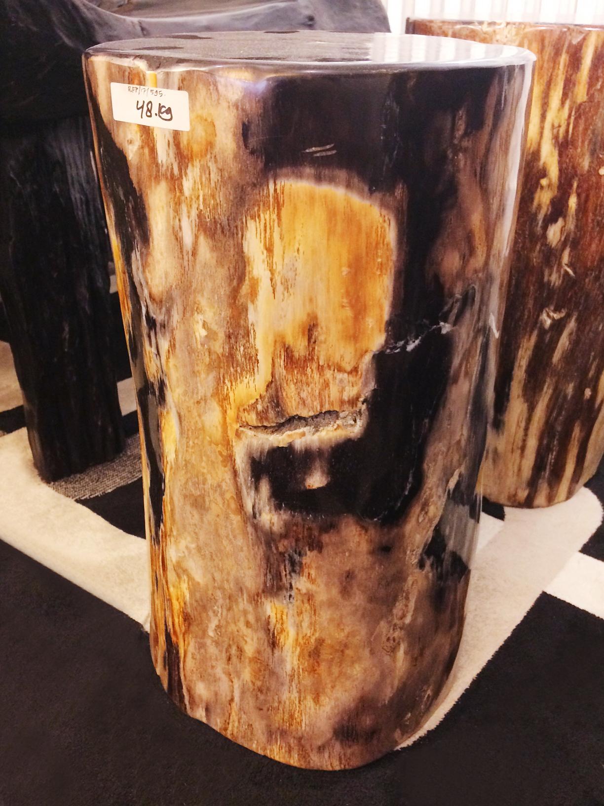 Hand-Crafted Petrified Wood Set of Two n°D Side Table