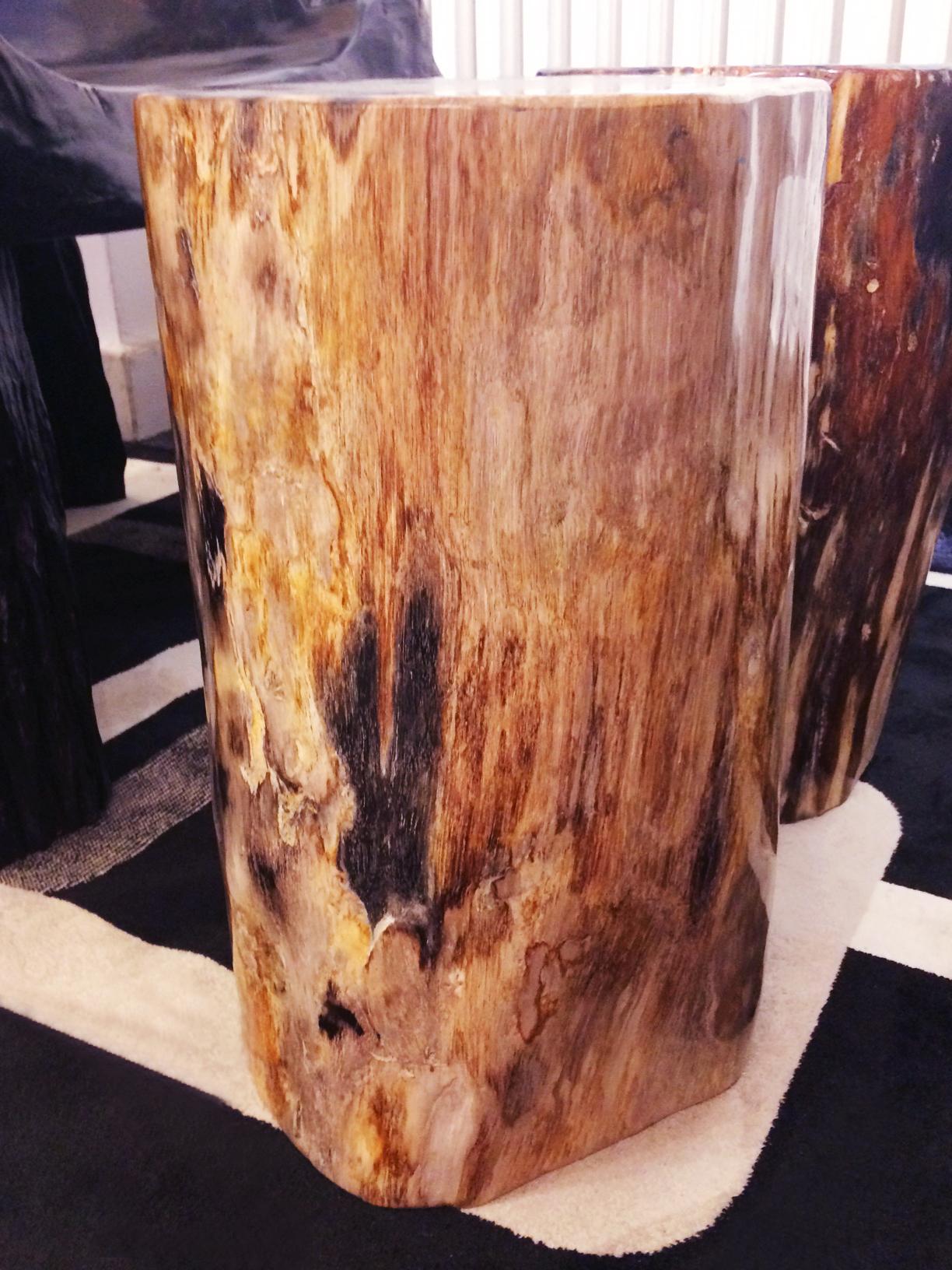 Petrified Wood Set of Two n°D Side Table In Excellent Condition In Paris, FR