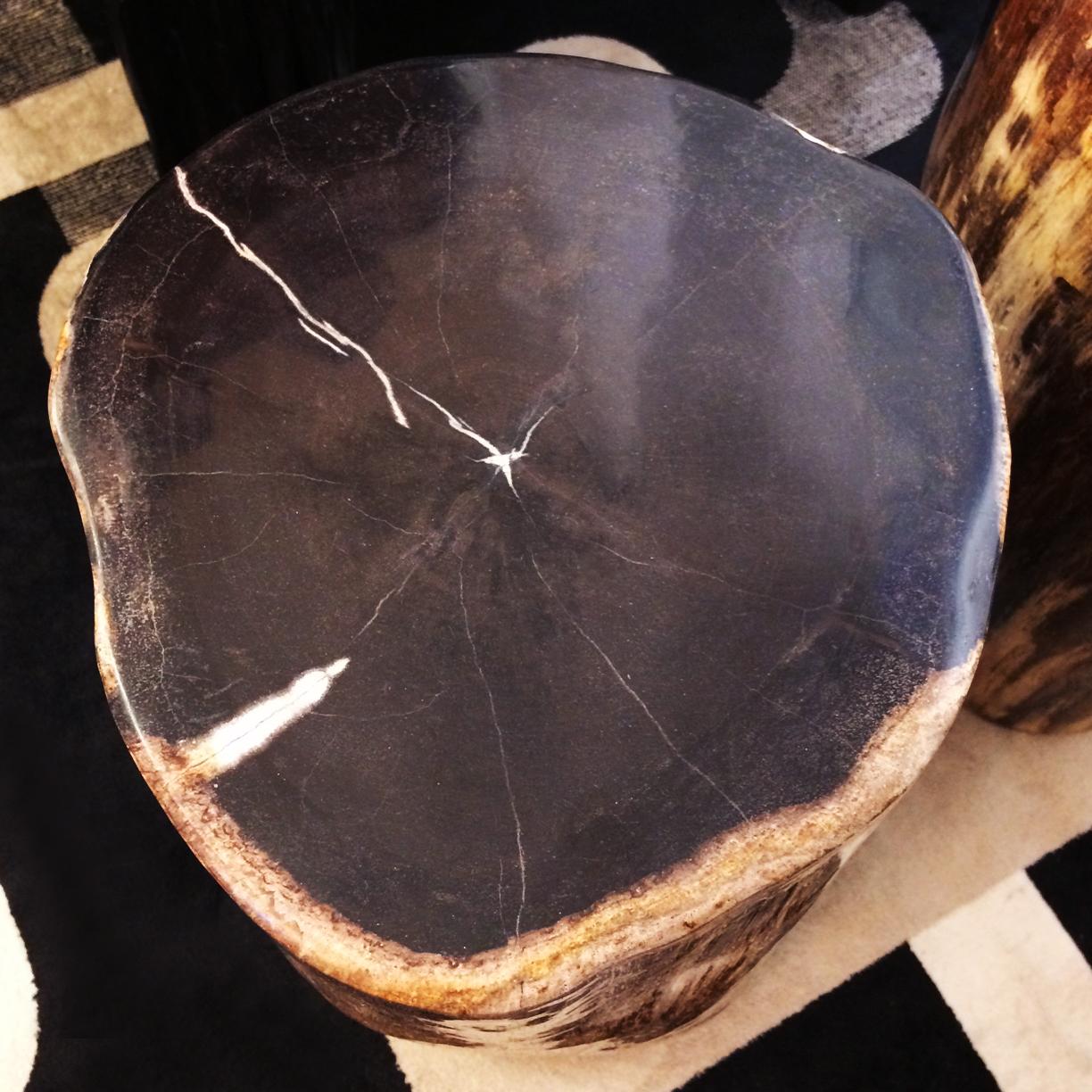 Contemporary Petrified Wood Set of Two n°D Side Table