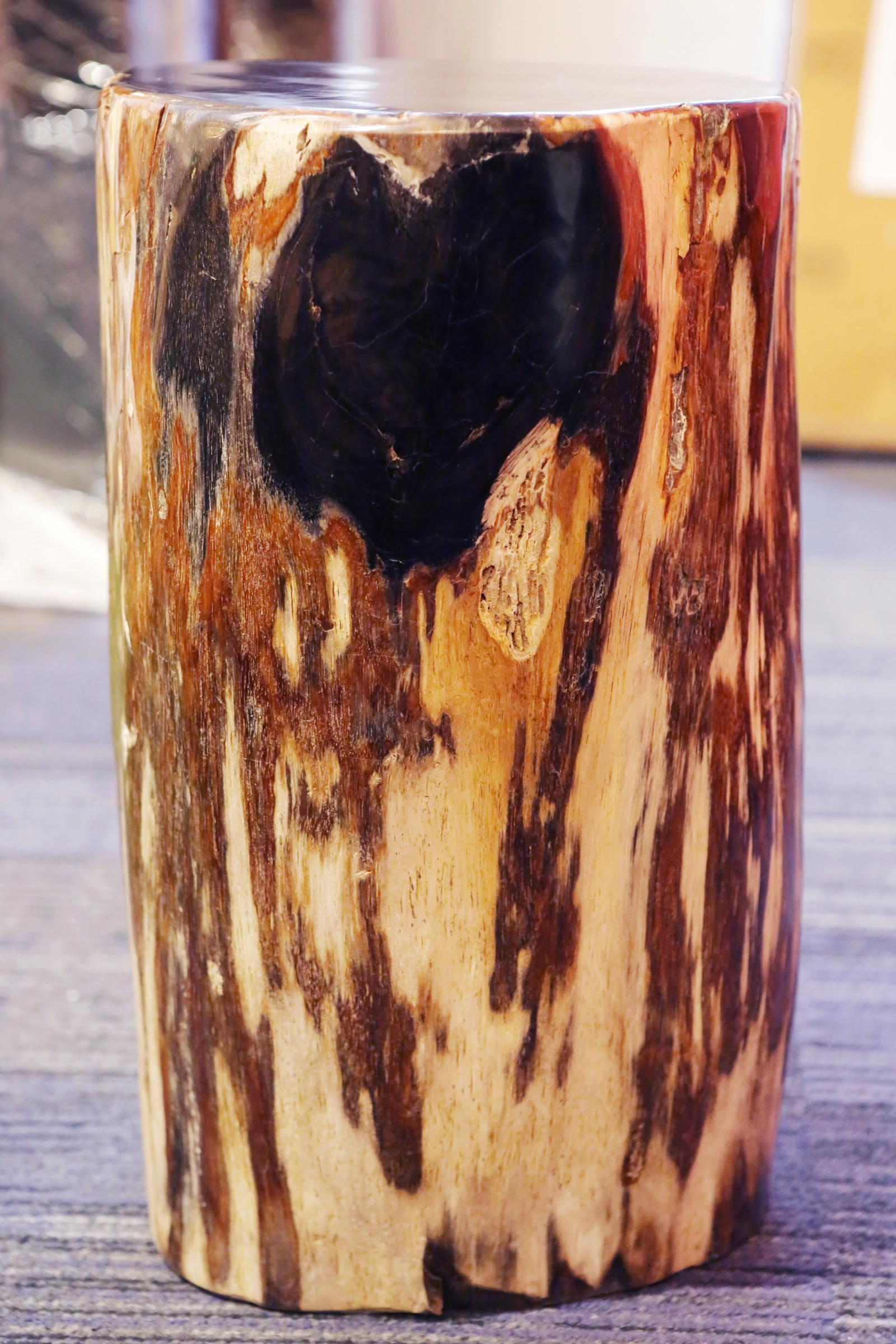 Petrified Wood Set of Two n°D Side Table 2