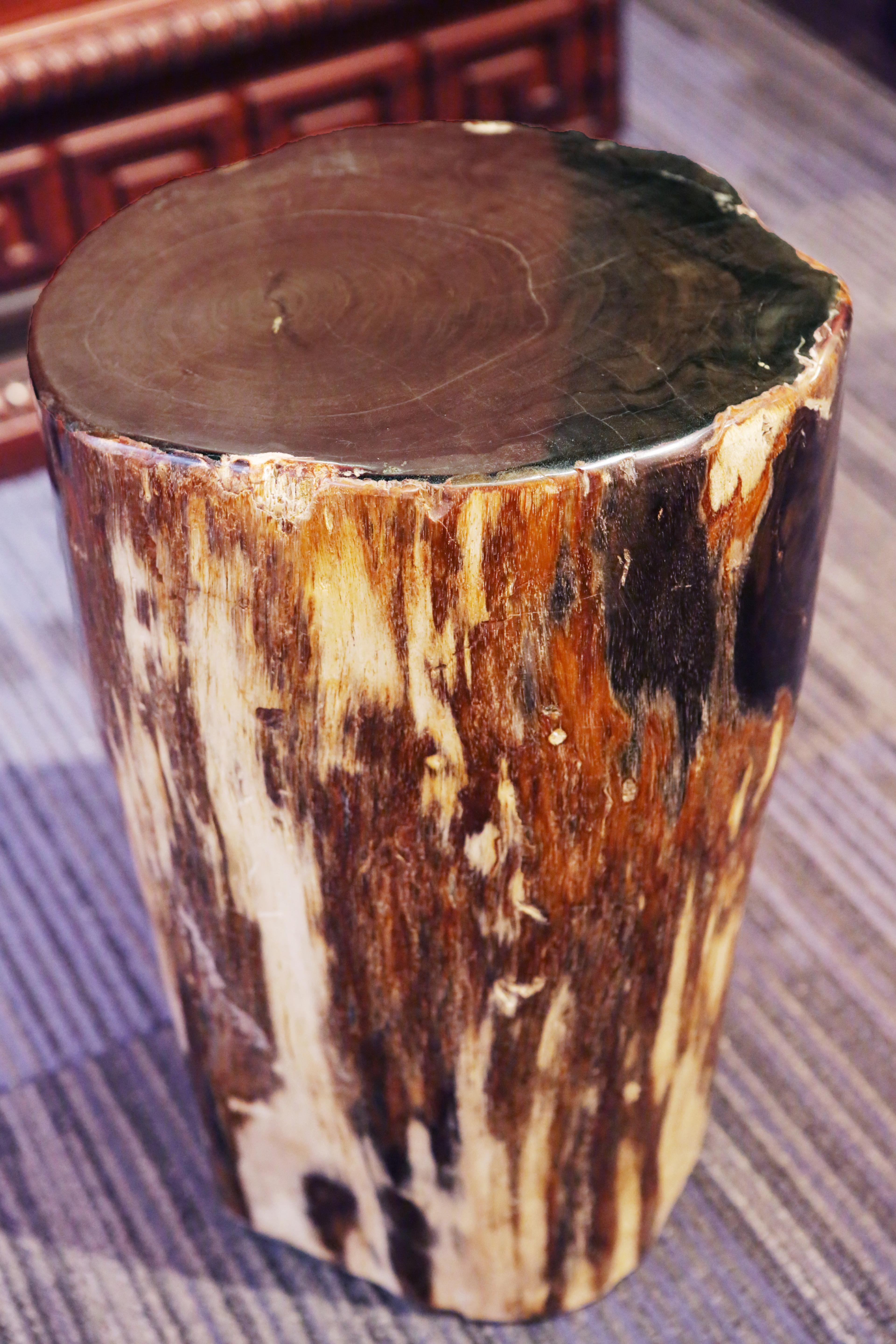 Petrified Wood Set of Two n°D Side Table 3