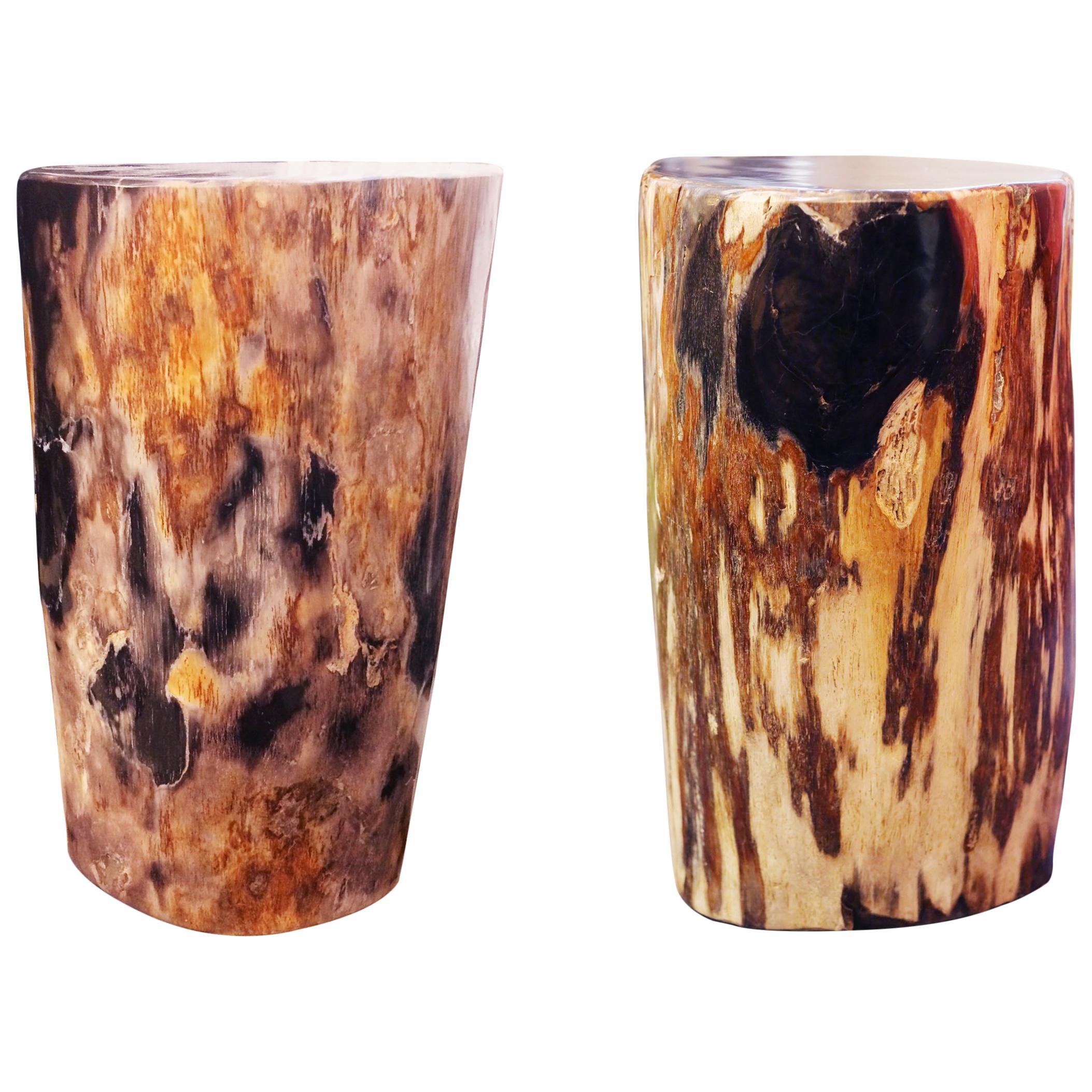 Petrified Wood Set of Two n°D Side Table