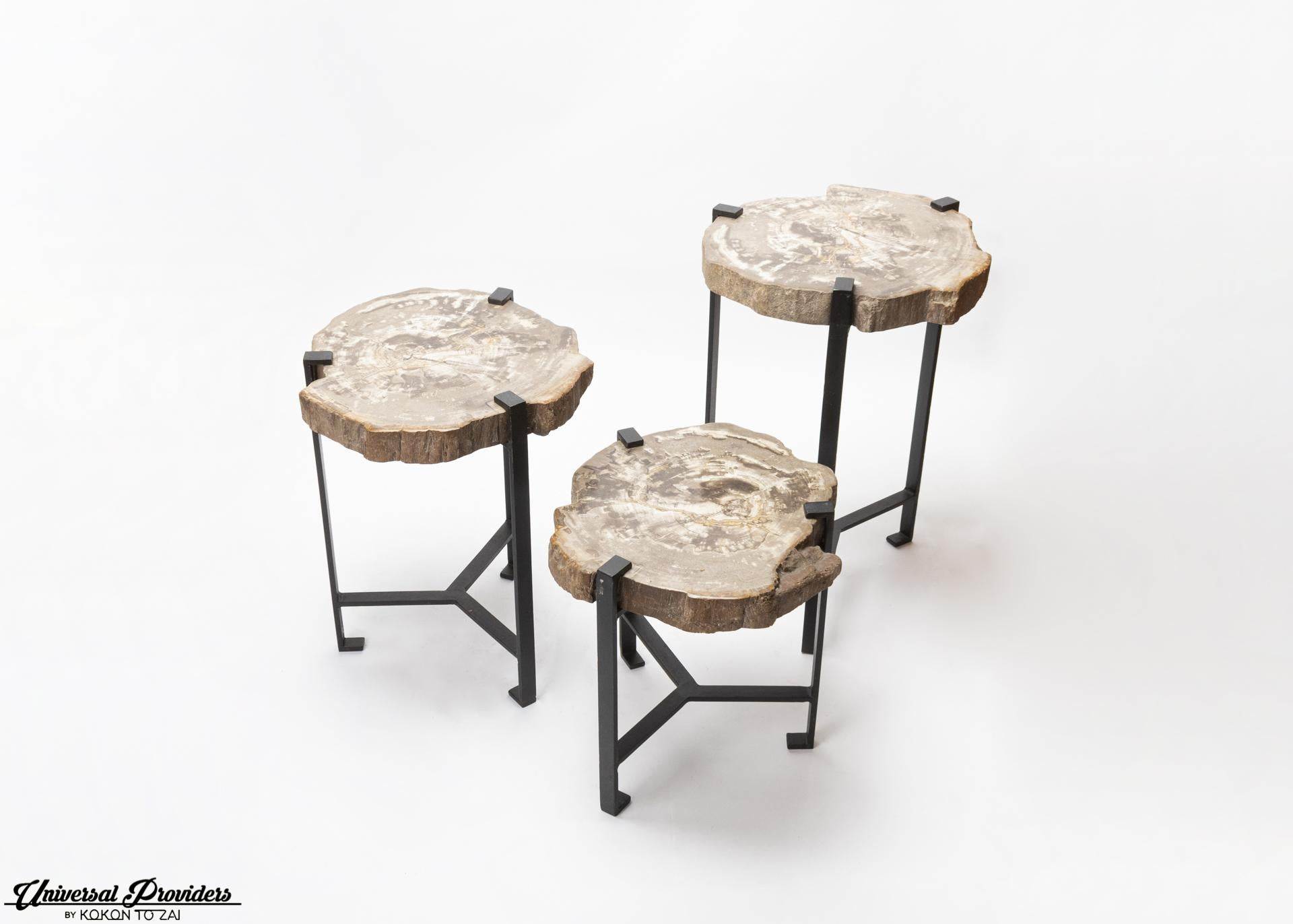 Petrified wood side table by Kokon To Zai.