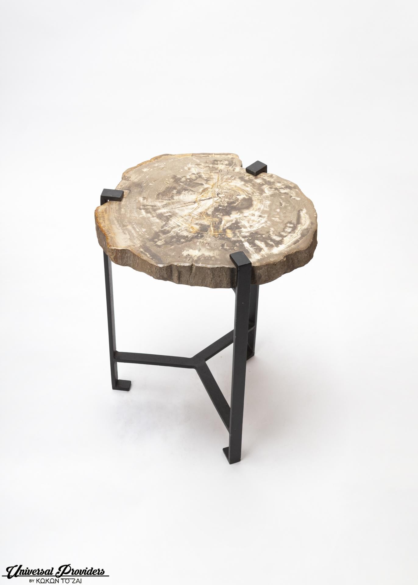 Petrified wood side table by Kokon To Zai.