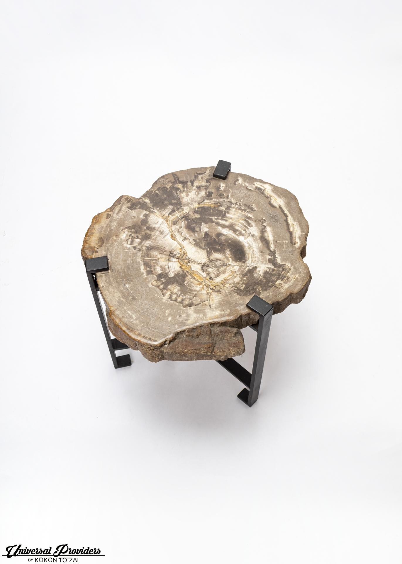 British Petrified Wood Side Table by Kokon To Zai For Sale
