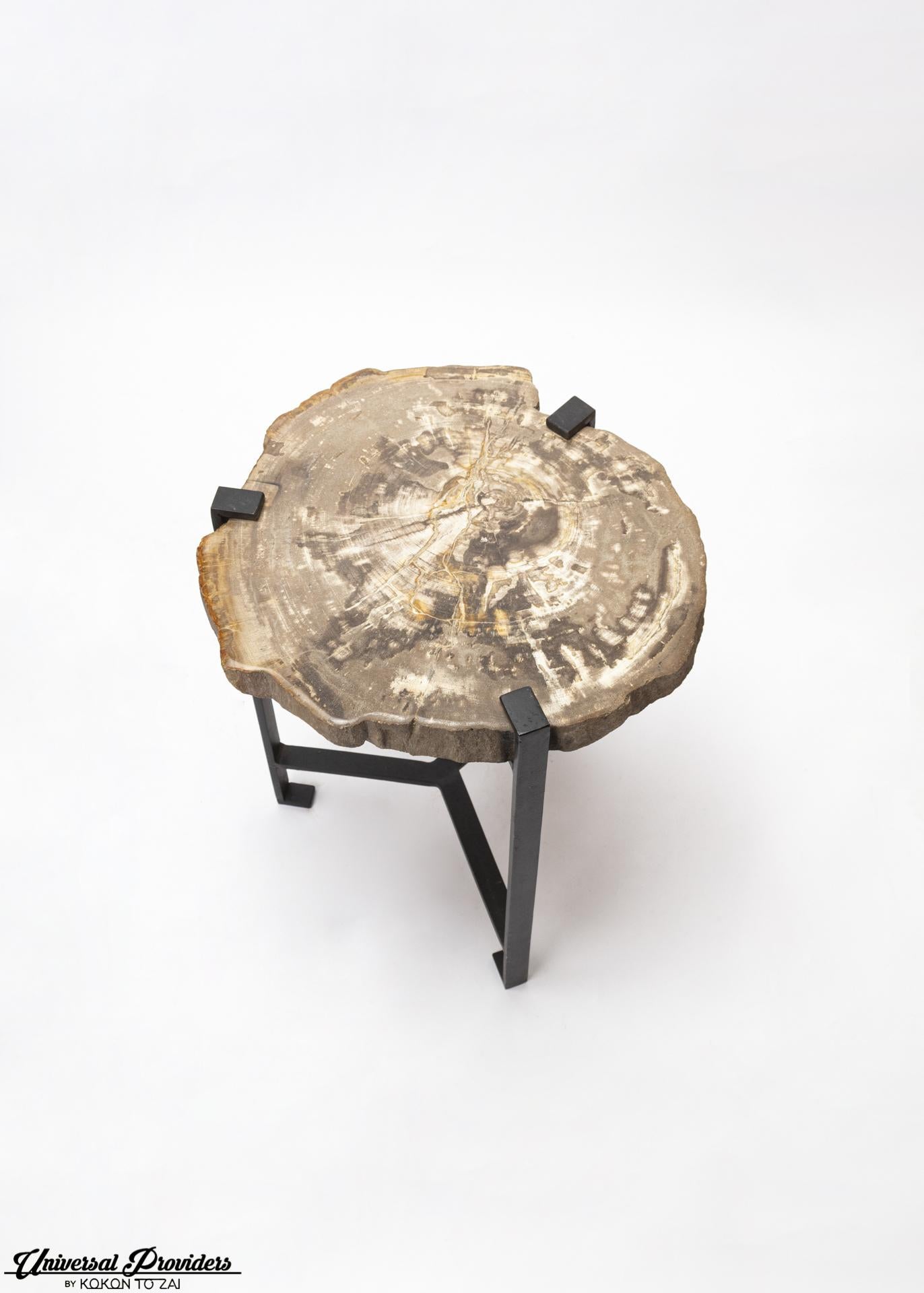 British Petrified Wood Side Table by Kokon To Zai