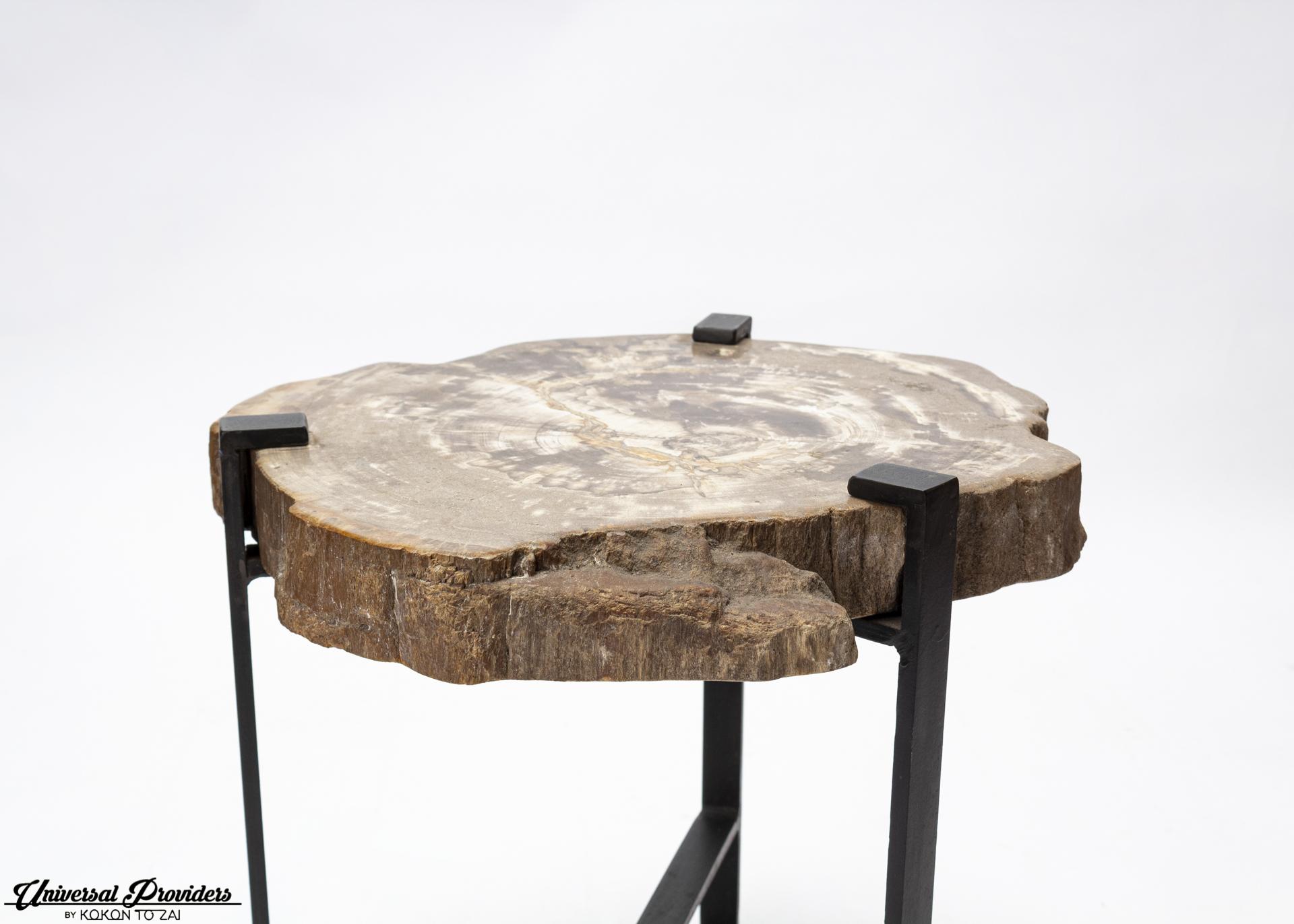 Petrified Wood Side Table by Kokon To Zai In Excellent Condition For Sale In Notting Hill, GB