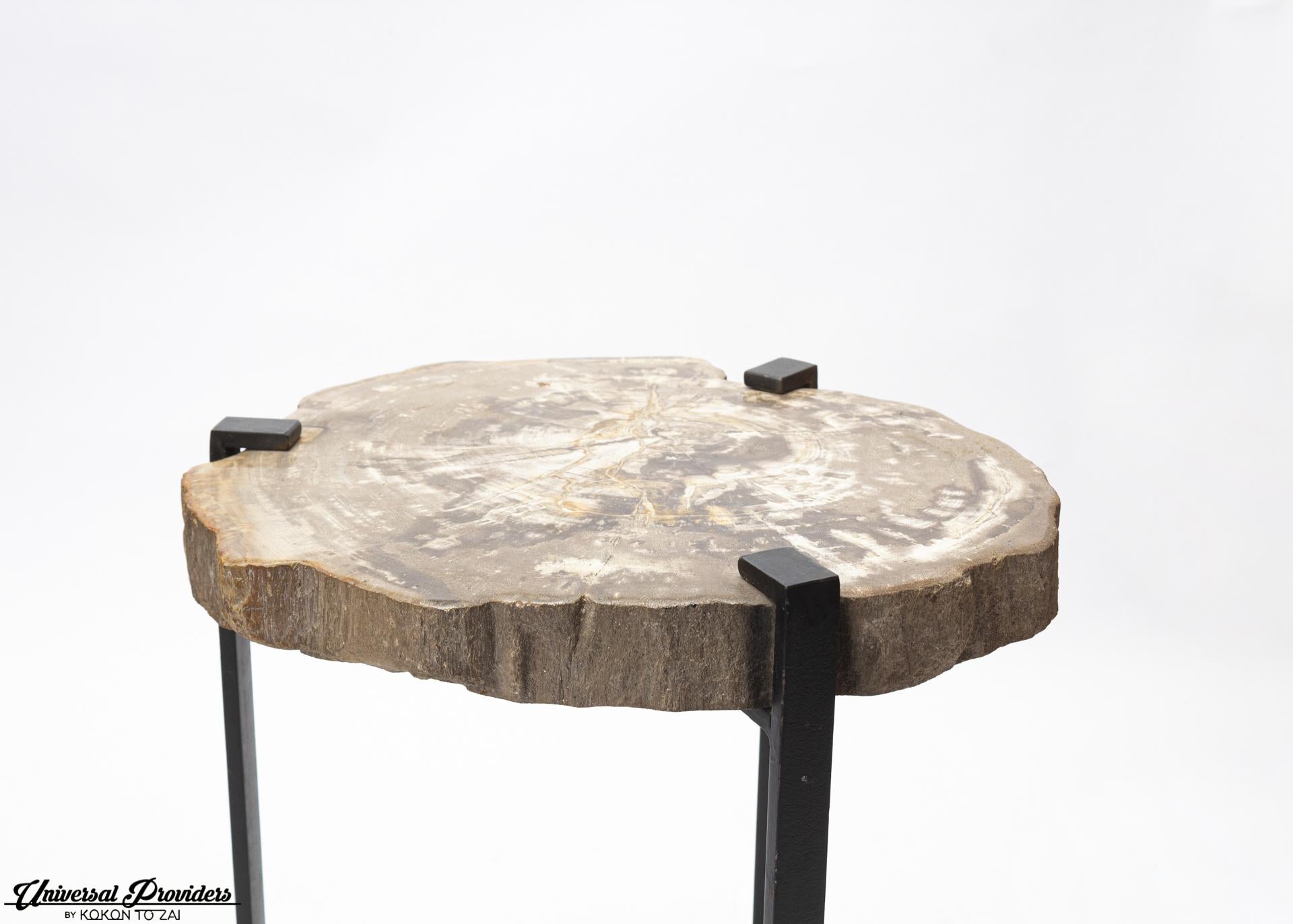 Petrified Wood Side Table by Kokon To Zai In New Condition In Notting Hill, GB