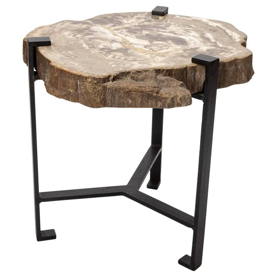 Petrified Wood Side Table by Kokon To Zai For Sale