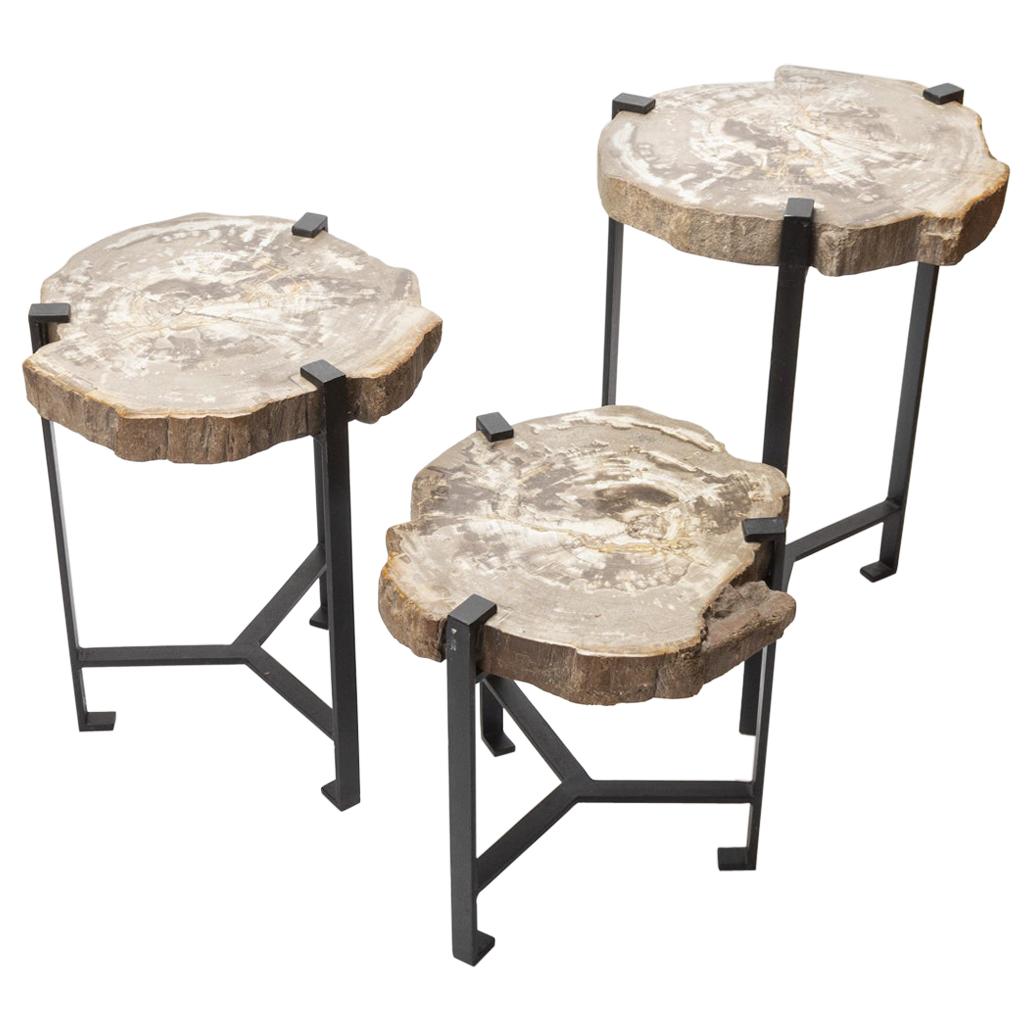 Petrified Wood Side Table by Kokon To Zai