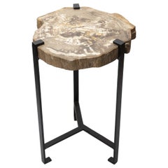 Petrified Wood Side Table by Kokon to Zai