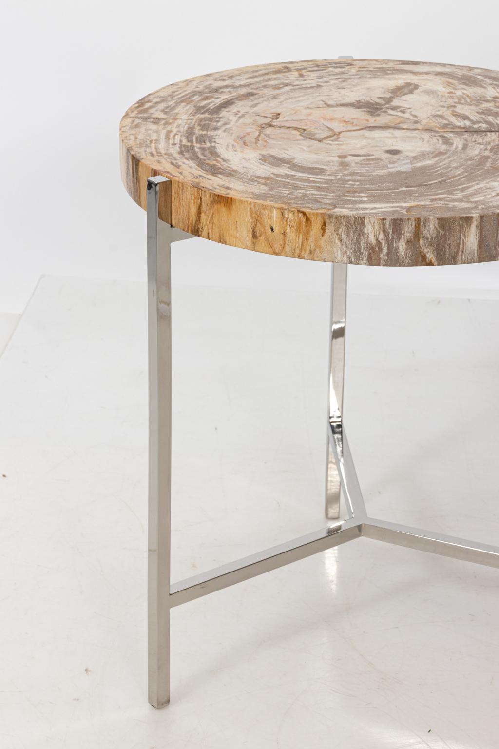 Petrified Wood Side Table by Palececk Maxwell For Sale 2