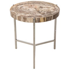 Petrified Wood Side Table by Palececk Maxwell