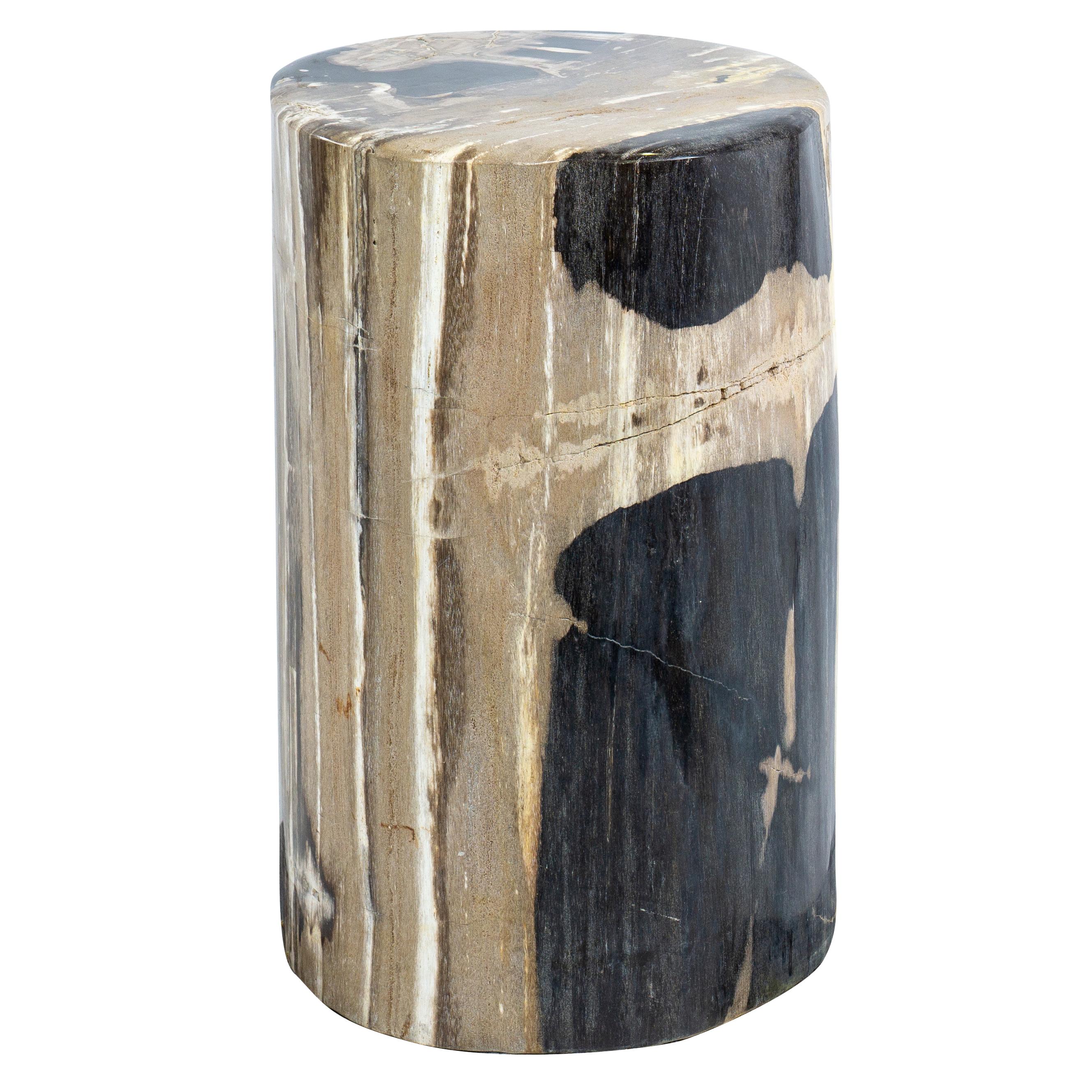 Bois fossilisé Table d'appoint en bois pétrifié « dragon griffes » - caoutchouc chauffé, beige et crème en vente