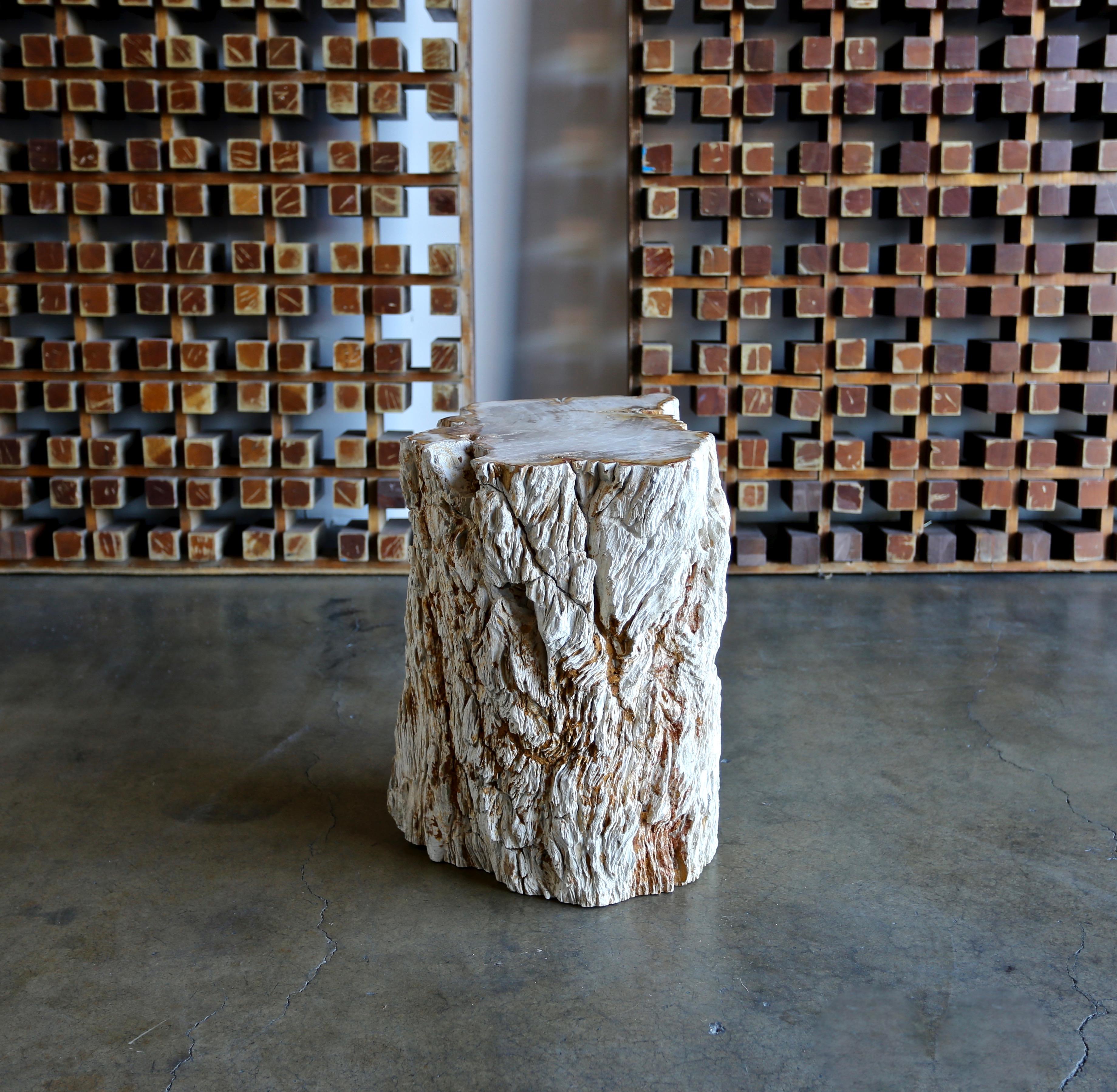 Petrified Wood Side Table 5