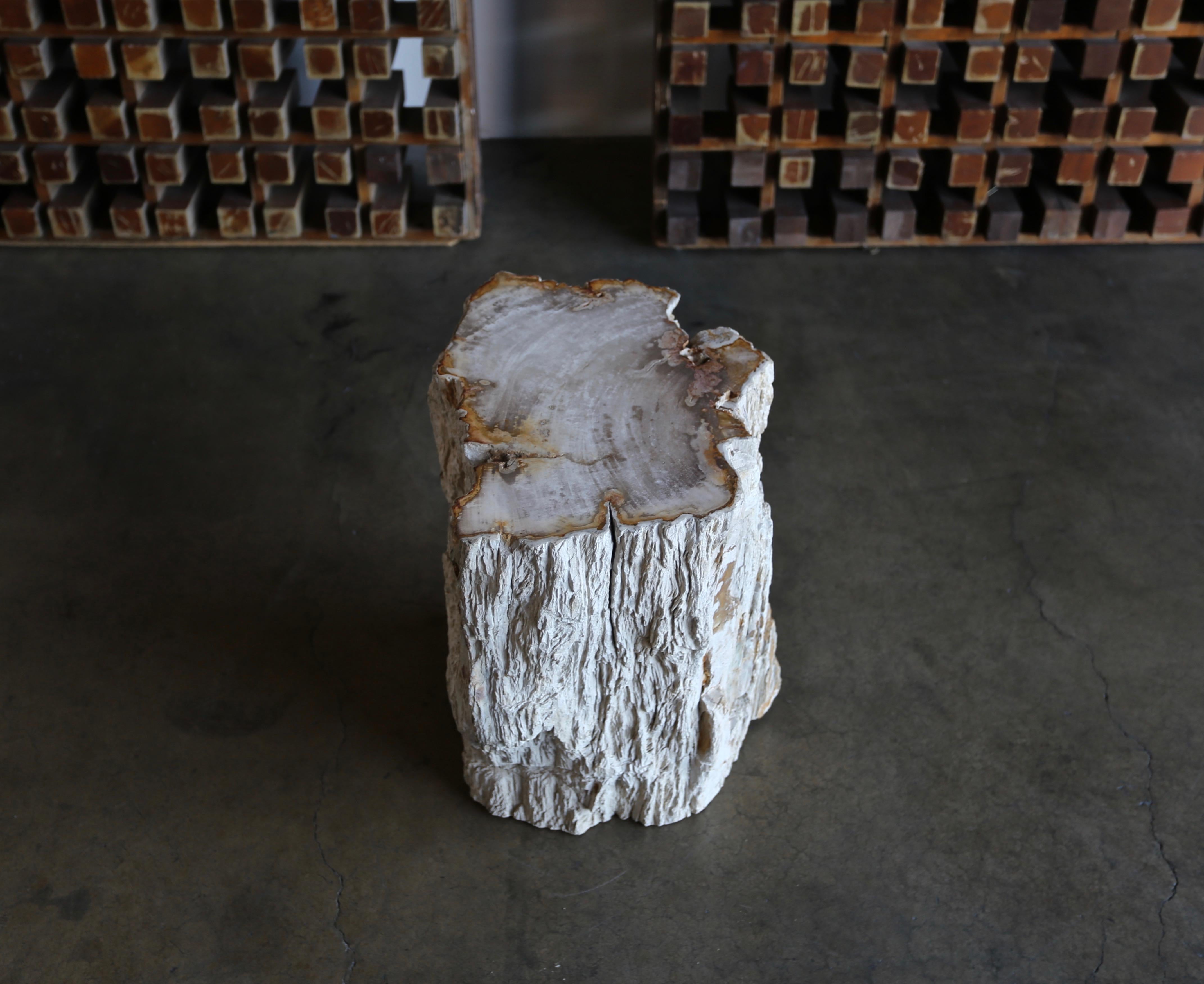 Petrified Wood Side Table 10