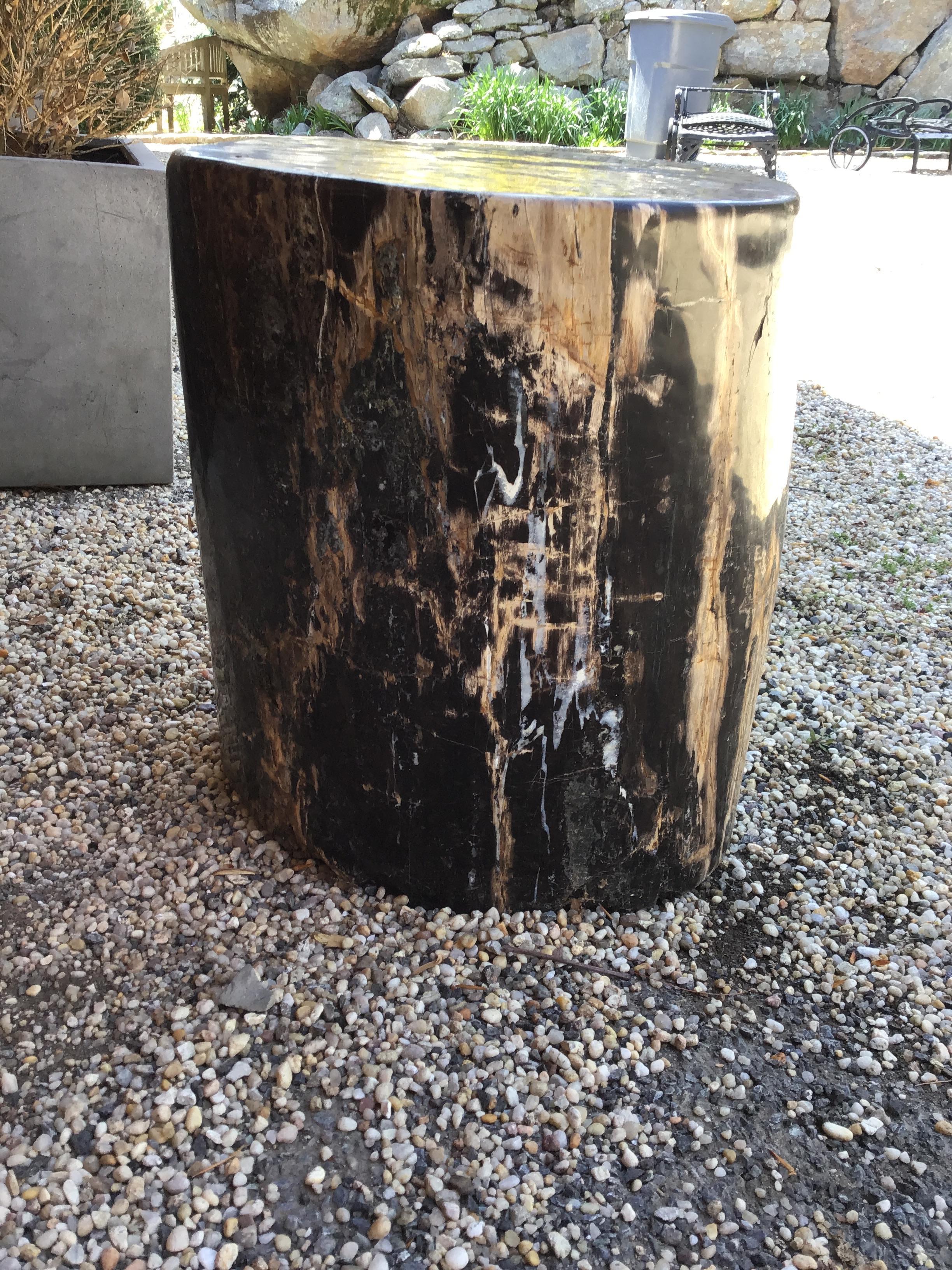 Petrified wood side table. Out of a Greenwich, Connecticut mansion.