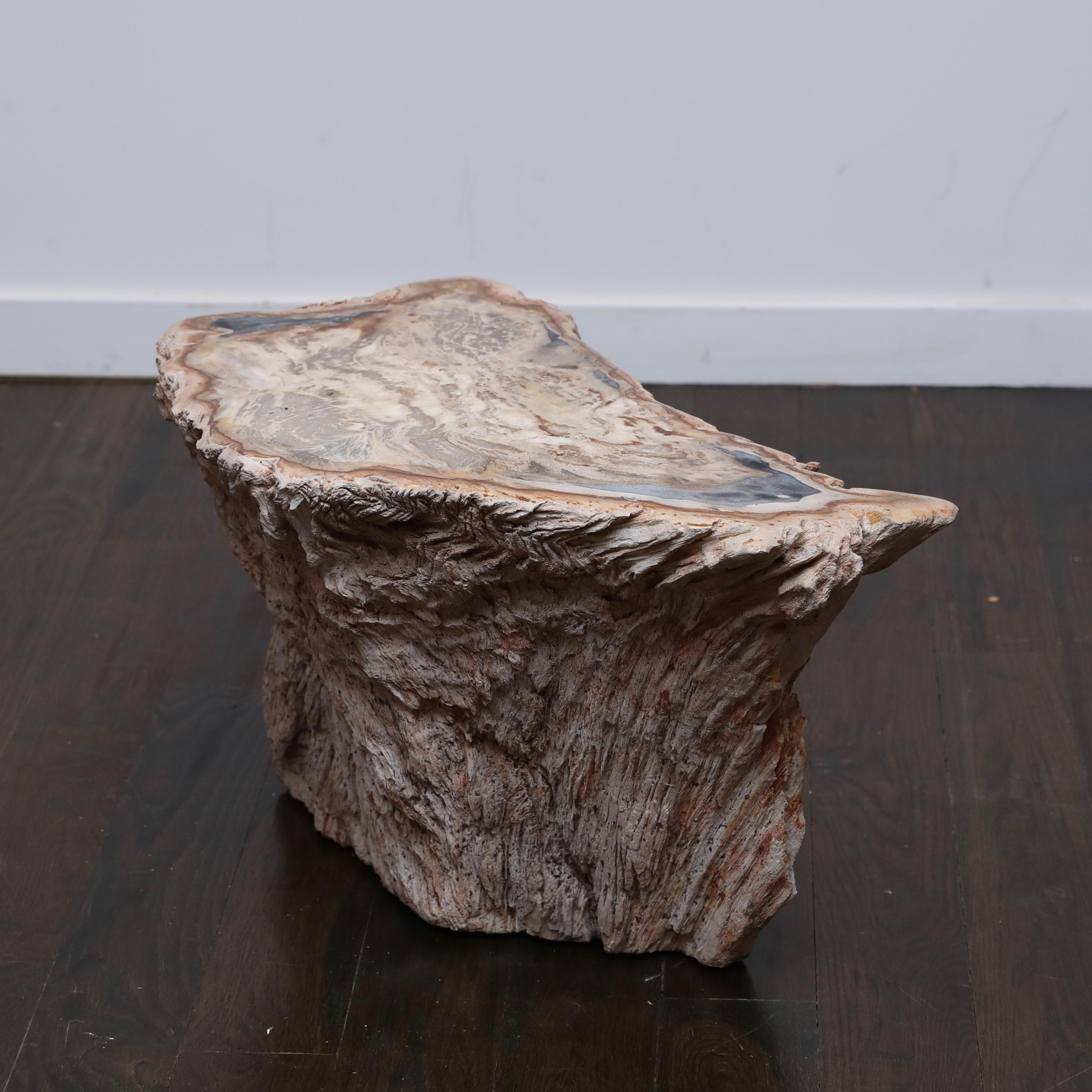1970s era side table made from a large cross section of a fossilized tree trunk with oxide-red and blue-grey highlights. Purchased for $6500 from Bernd Goeckler Antiques in NYC, this makes the perfect statement piece between or alongside an equally