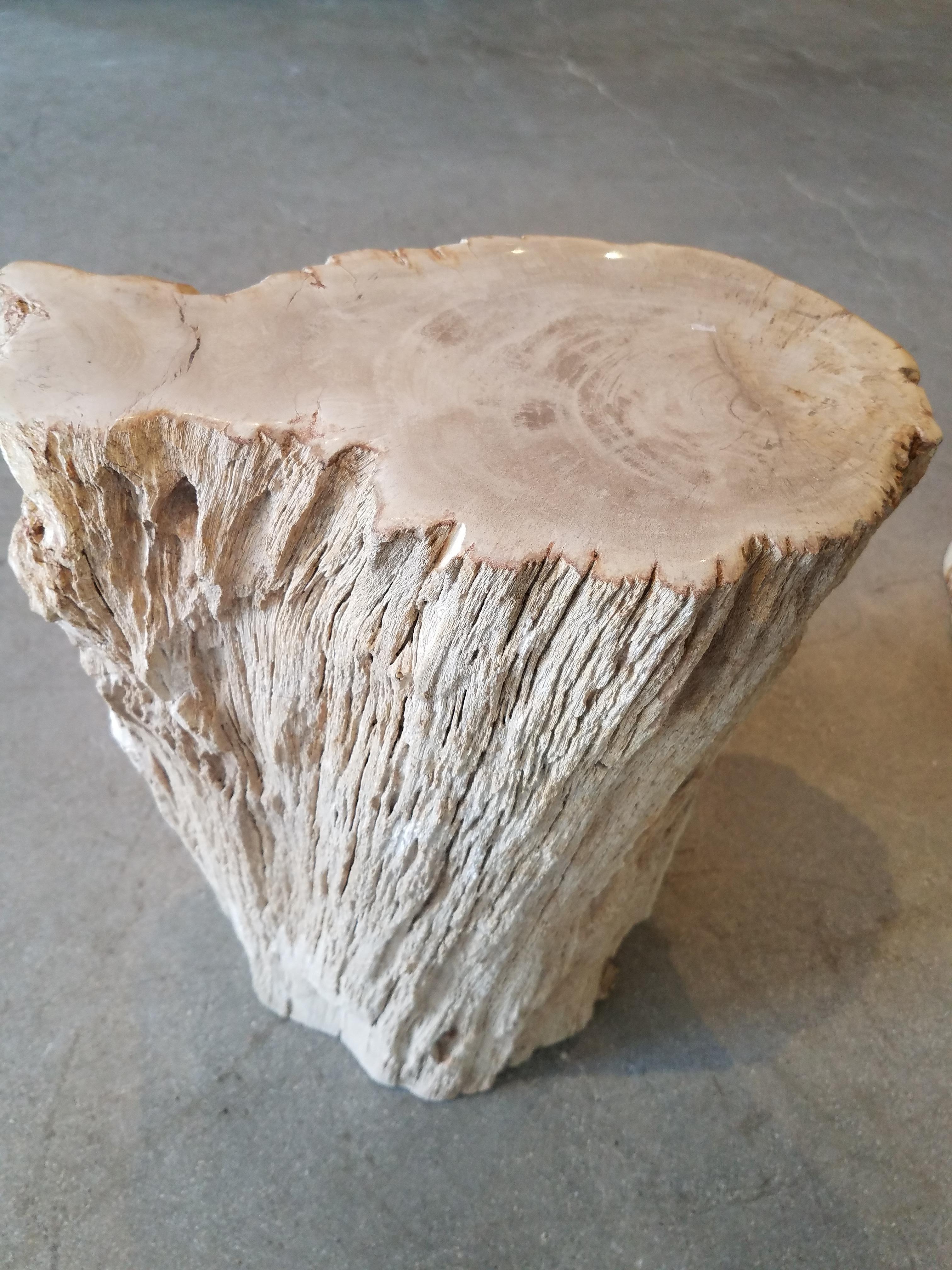 This beautiful piece of petrified wood has amazing likeness to a tree trunk with deep graining on the outside and even a piece where the wood has crystalized as seen in the detail photos. The color of ashen grey is wonderful on the outside and the
