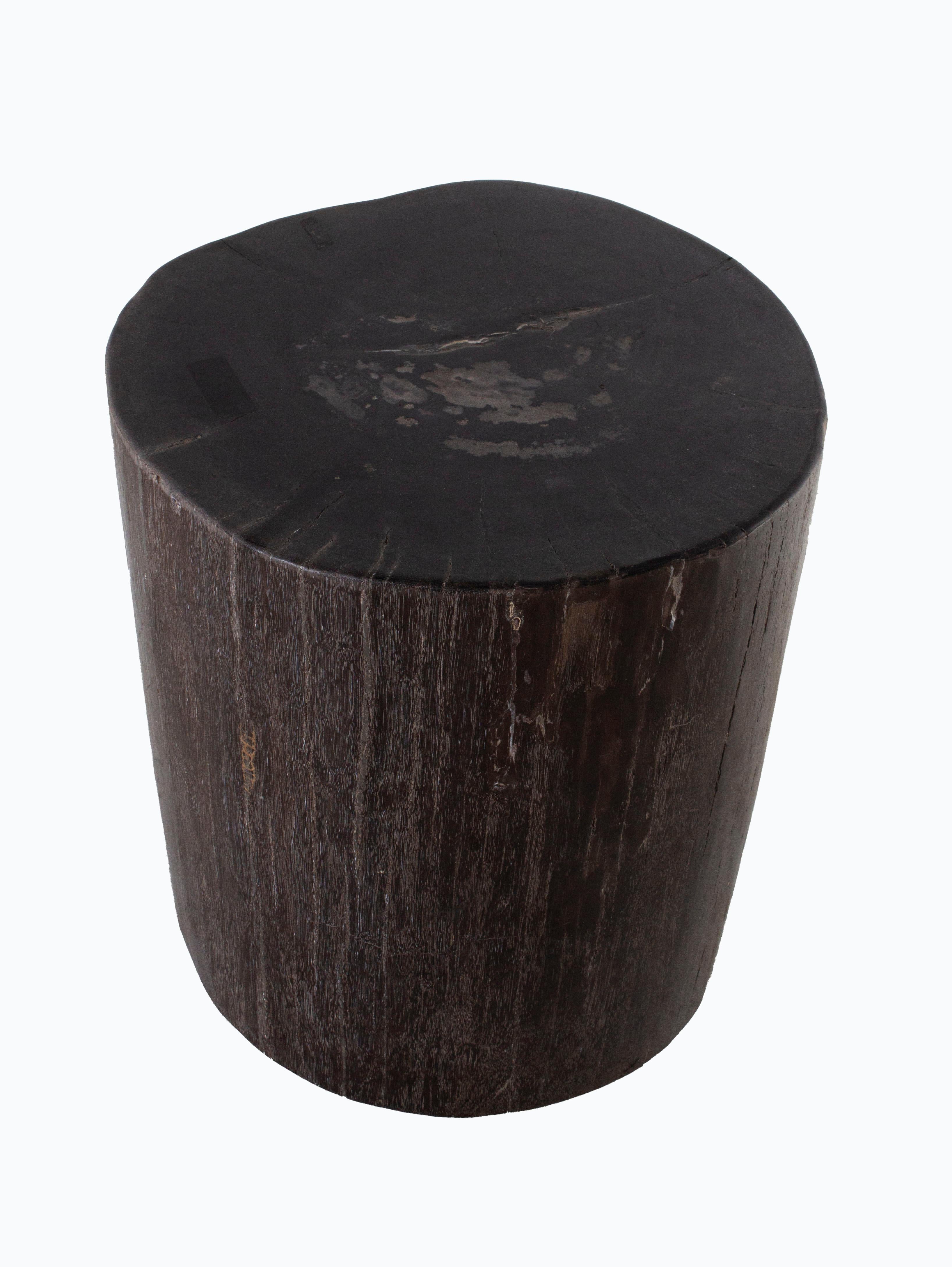 Petrified wood side table in black.

 