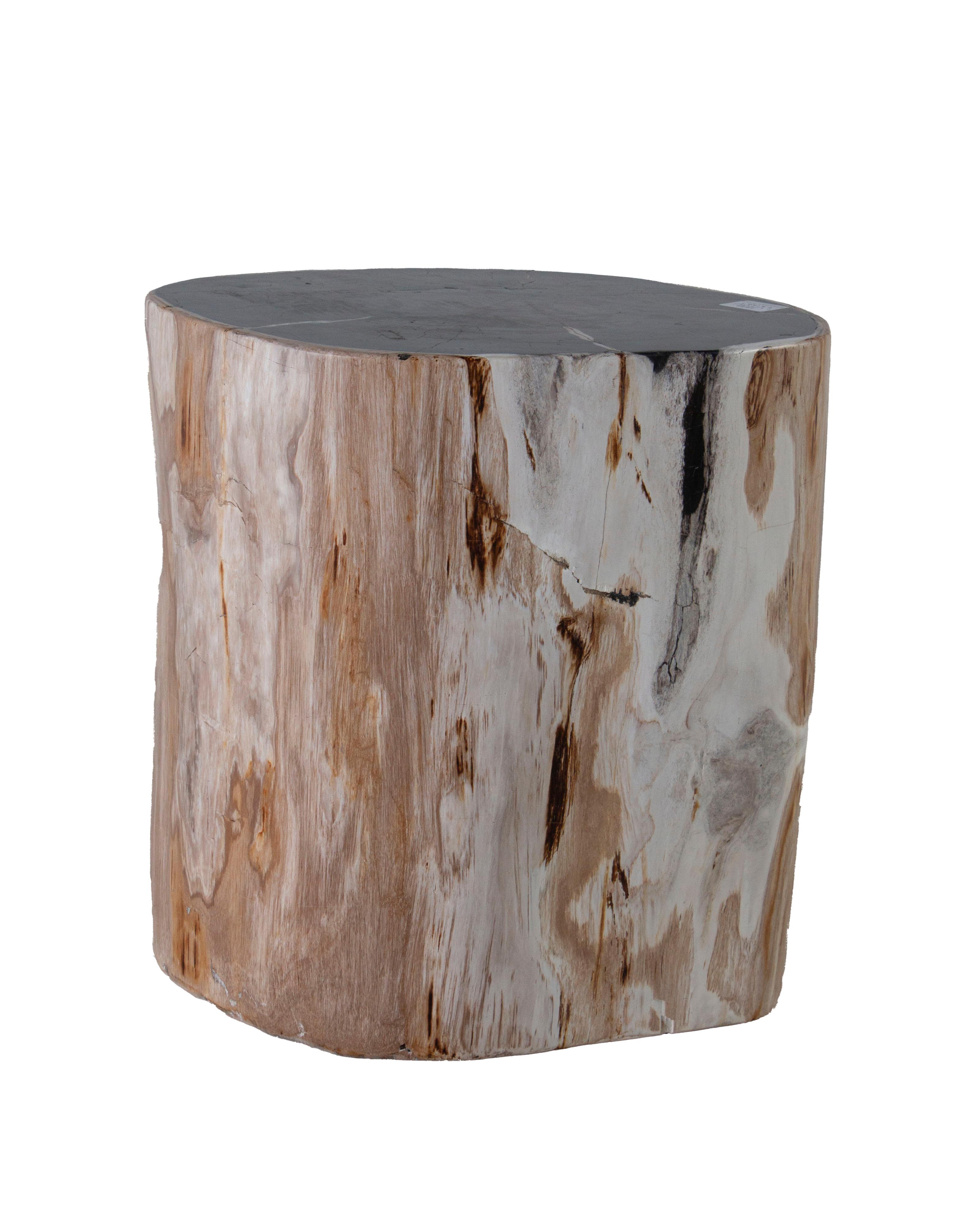 Petrified wood side table.

Sourced from Europe. One of a kind table. 