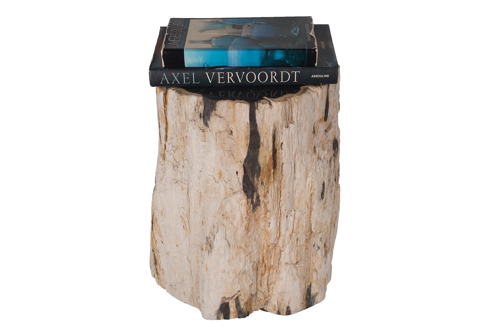 Organic Modern Petrified Wood Side Table