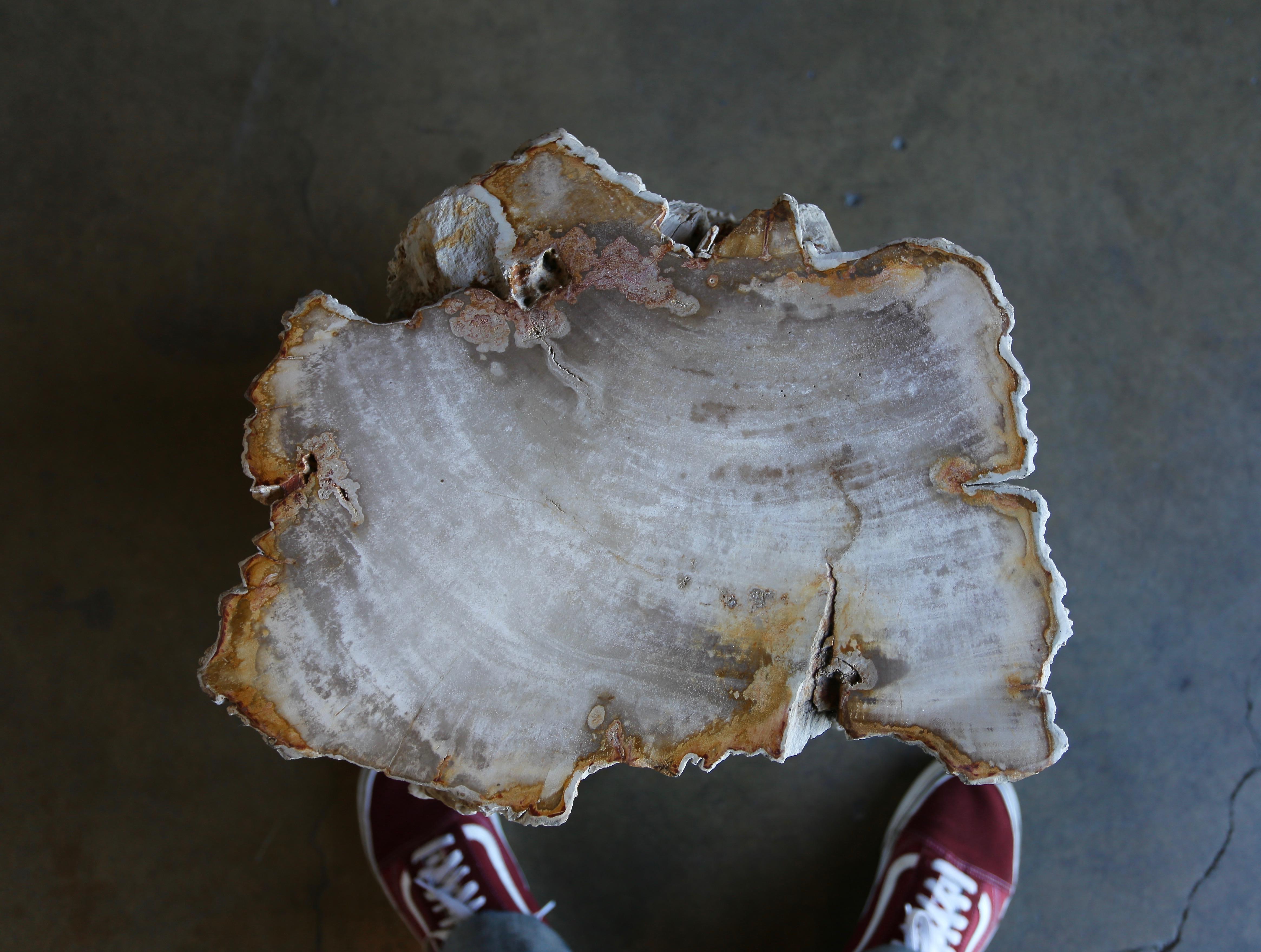 Unknown Petrified Wood Side Table