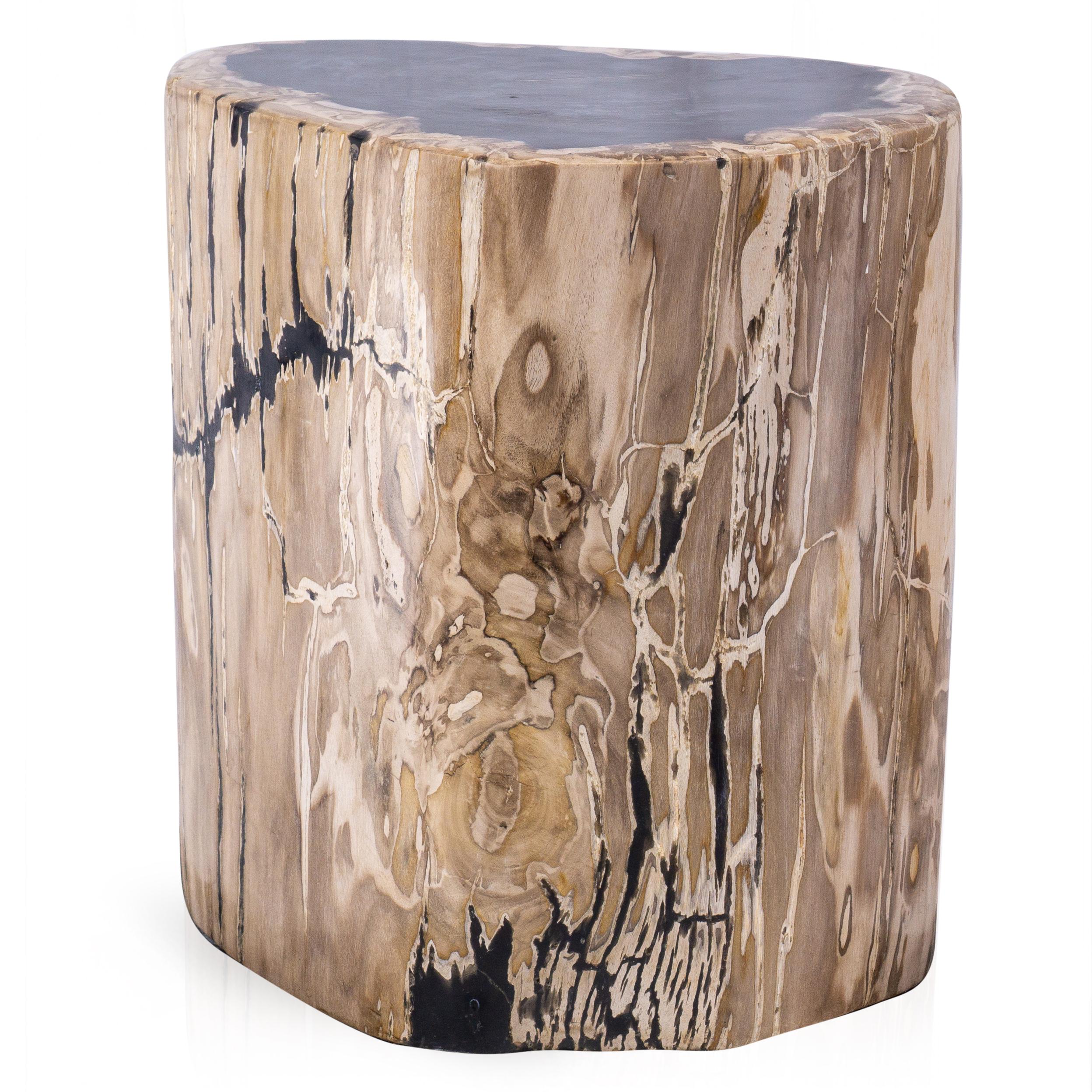 Organic Modern Petrified Wood Side Table