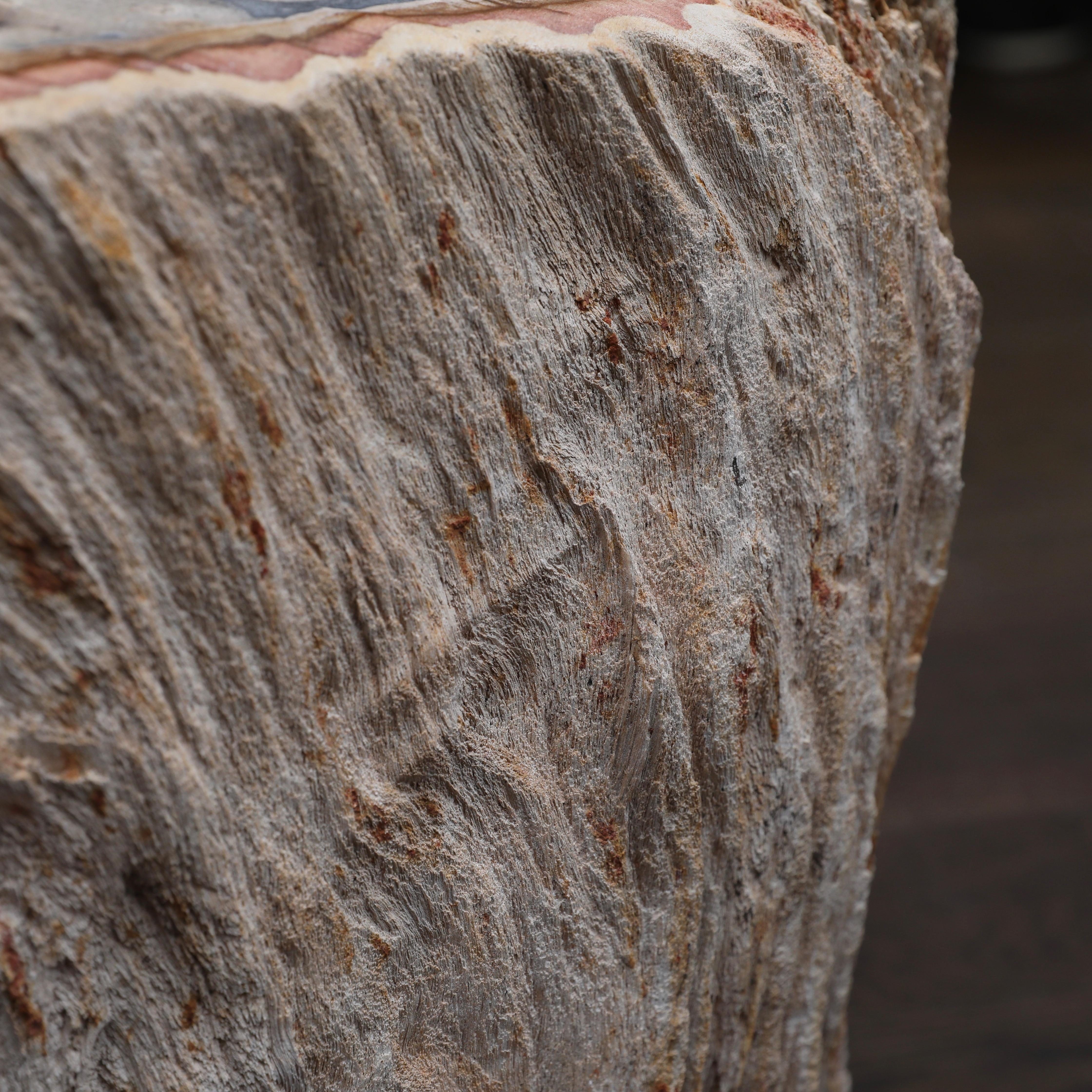 American Petrified Wood Side Table