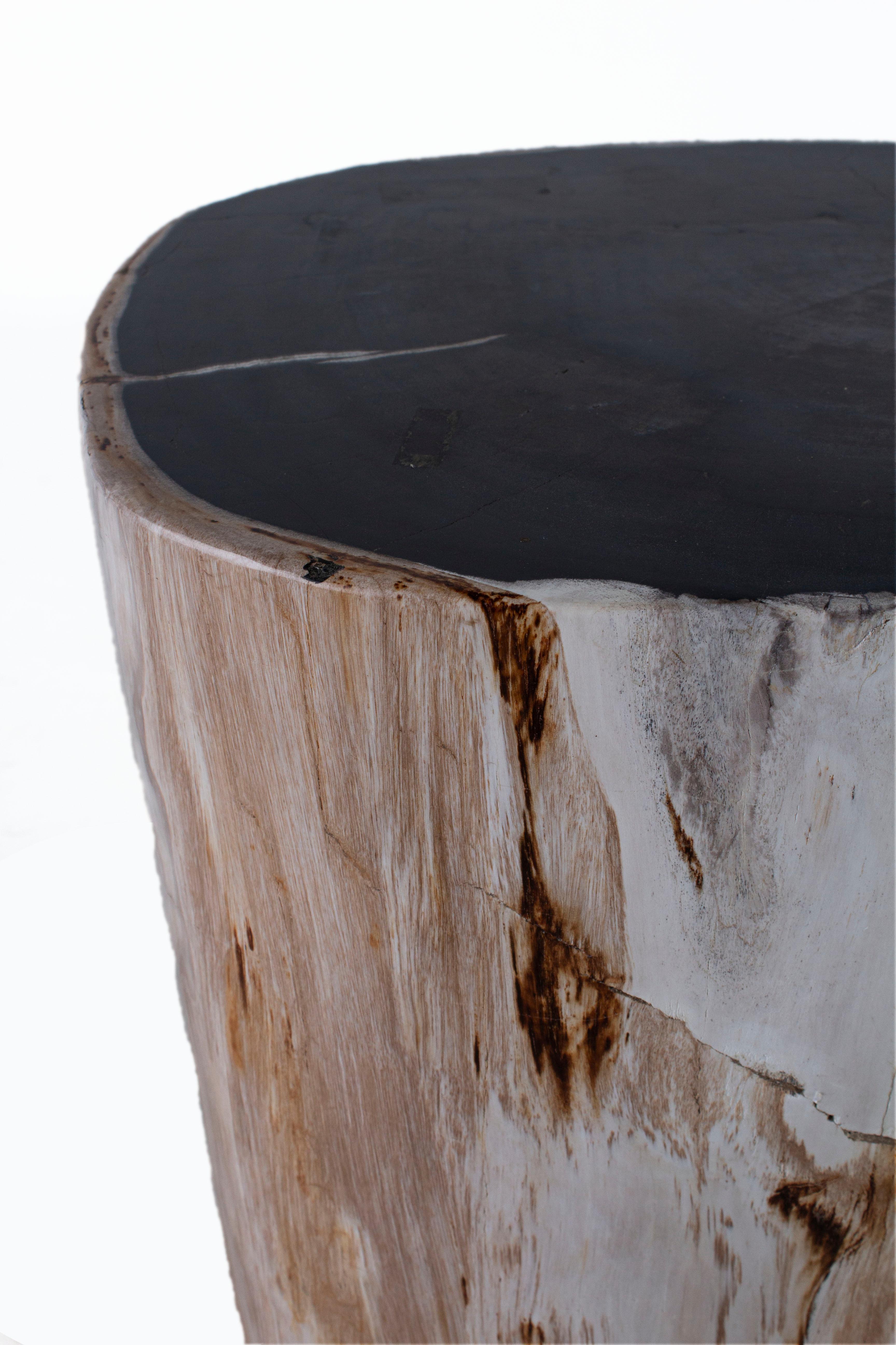 European Petrified Wood Side Table