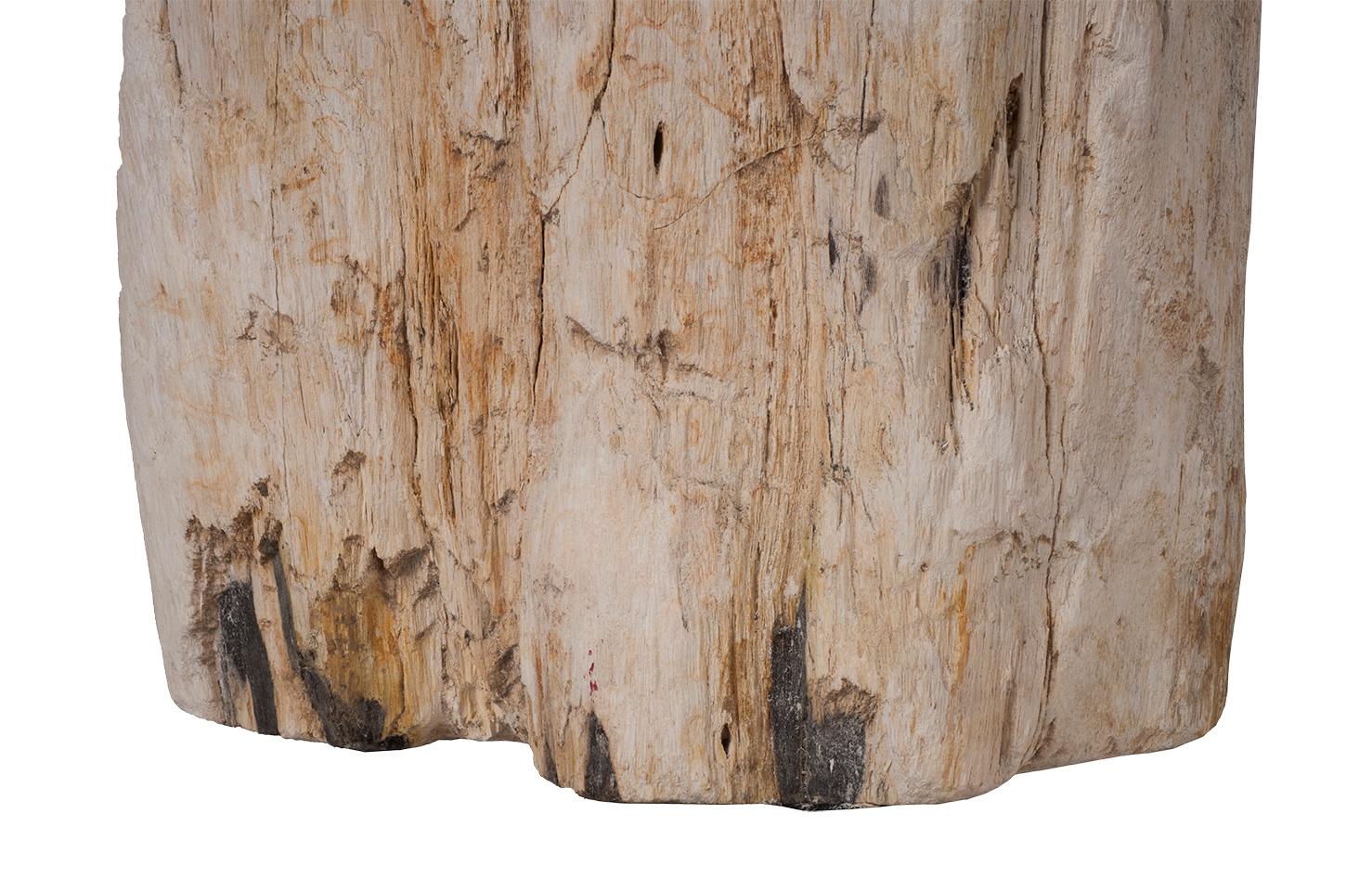 Petrified Wood Side Table In Good Condition In Dallas, TX