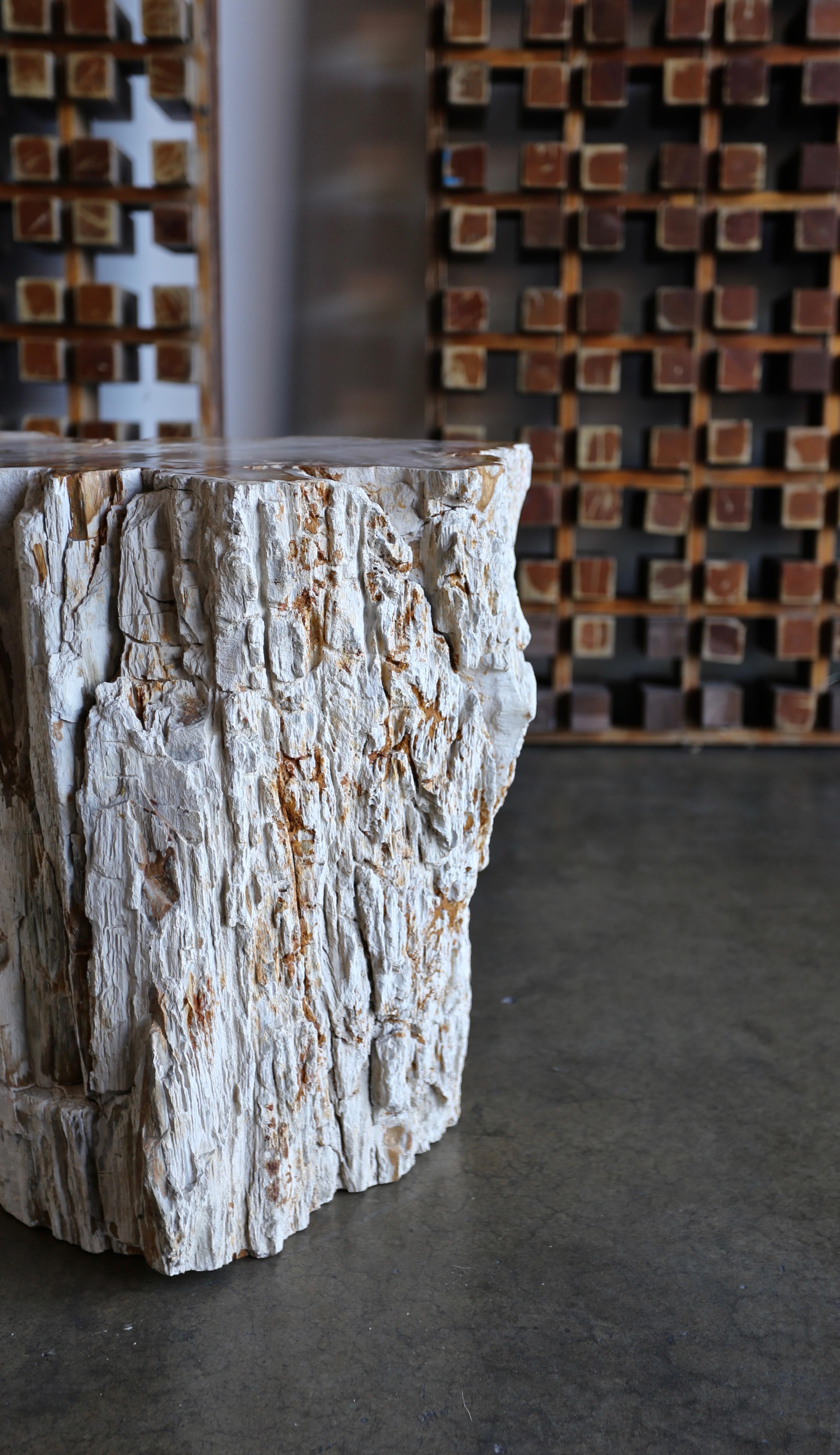 Petrified Wood Side Table In Good Condition In Costa Mesa, CA