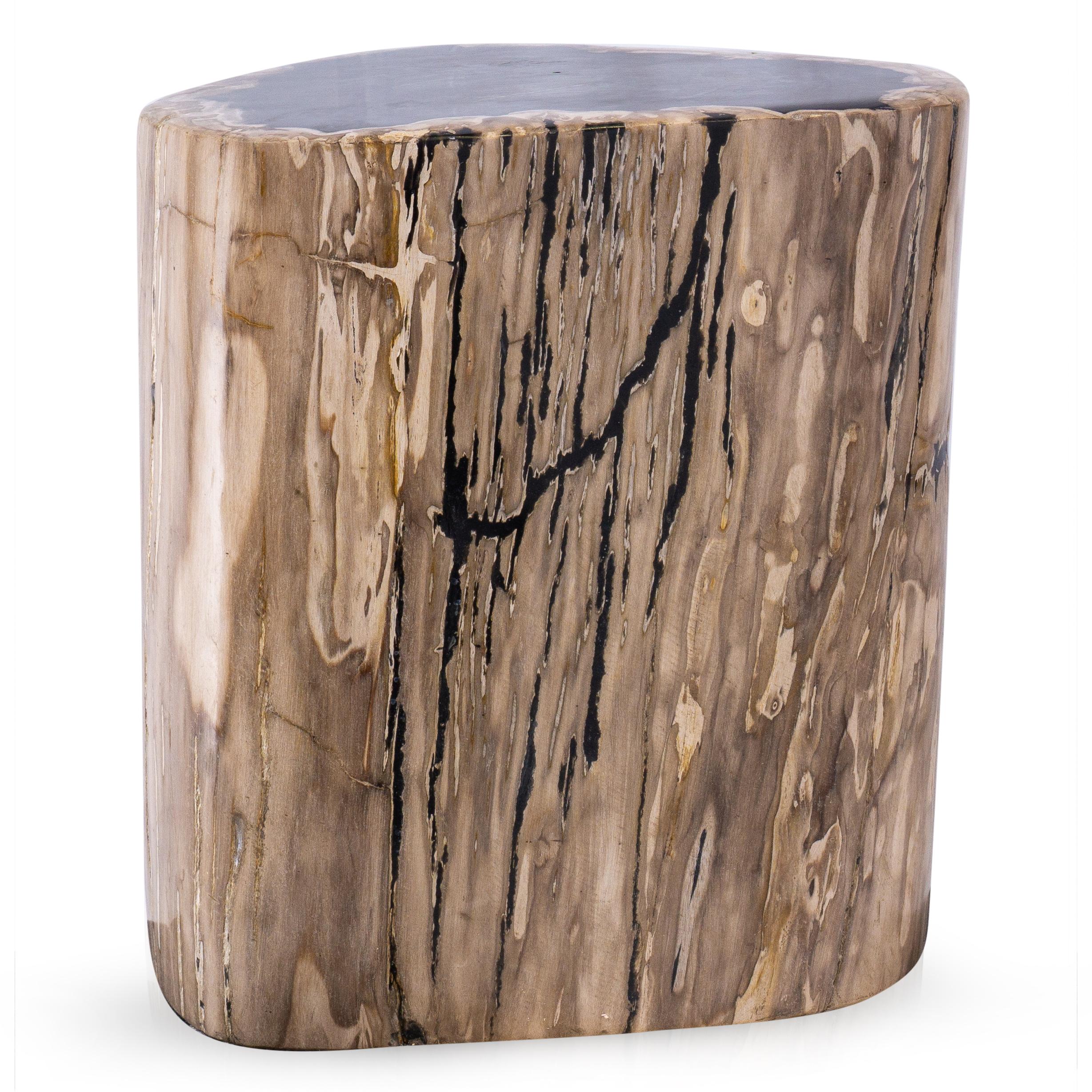 Indonesian Petrified Wood Side Table
